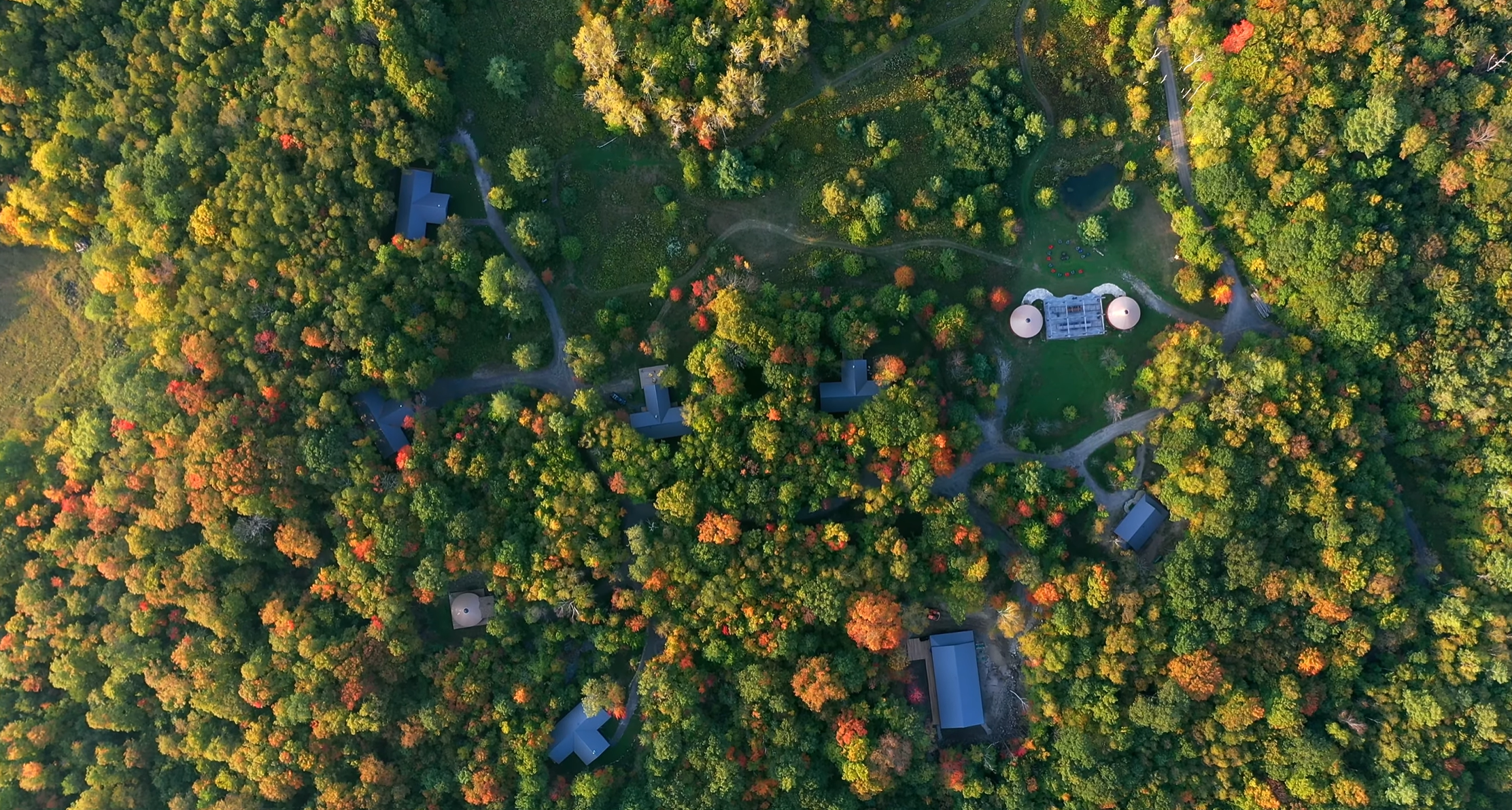 Aerial view of a dense forest with trees in vibrant fall colors, several buildings with blue roofs, and winding roads.
