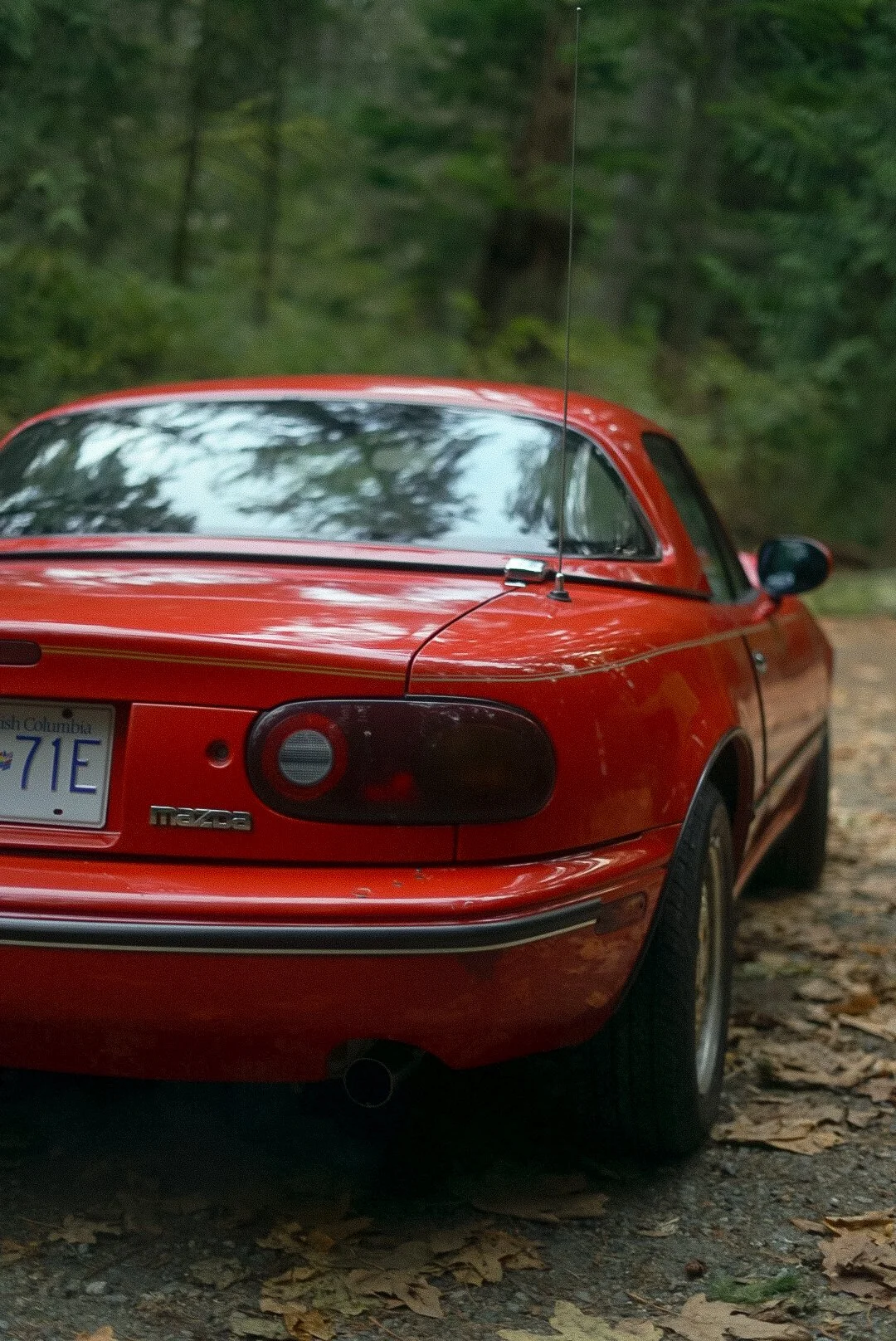Rear view of a red Mazda Miata parked on a dirt trail in a forested area.