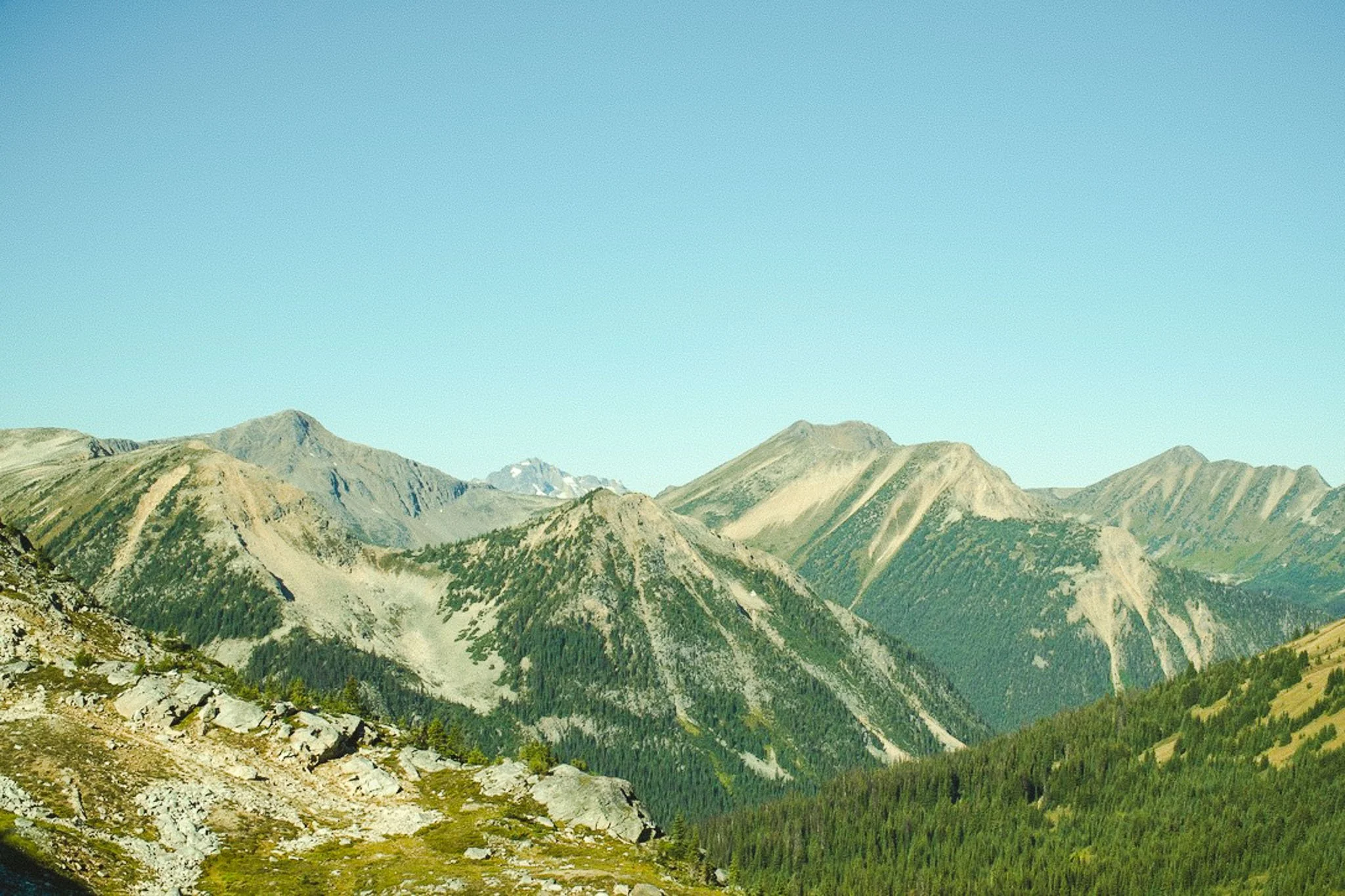 A panoramic view of rugged mountain peaks with a clear blue sky above, surrounded by green forested slopes.