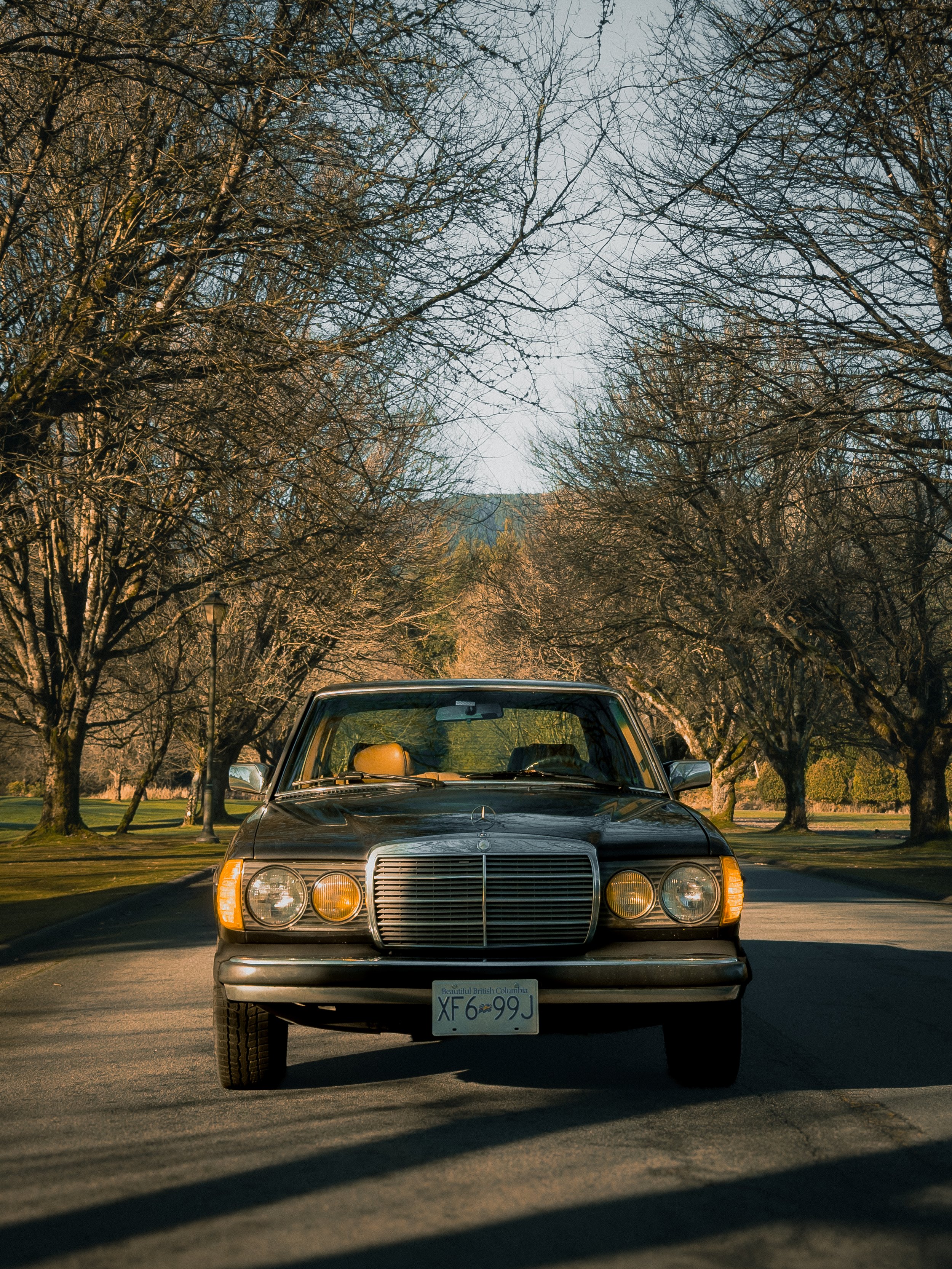 A black vintage Mercedes-Benz car with a British Columbia license plate parked on a street with leafless trees and a mountain in the background.
