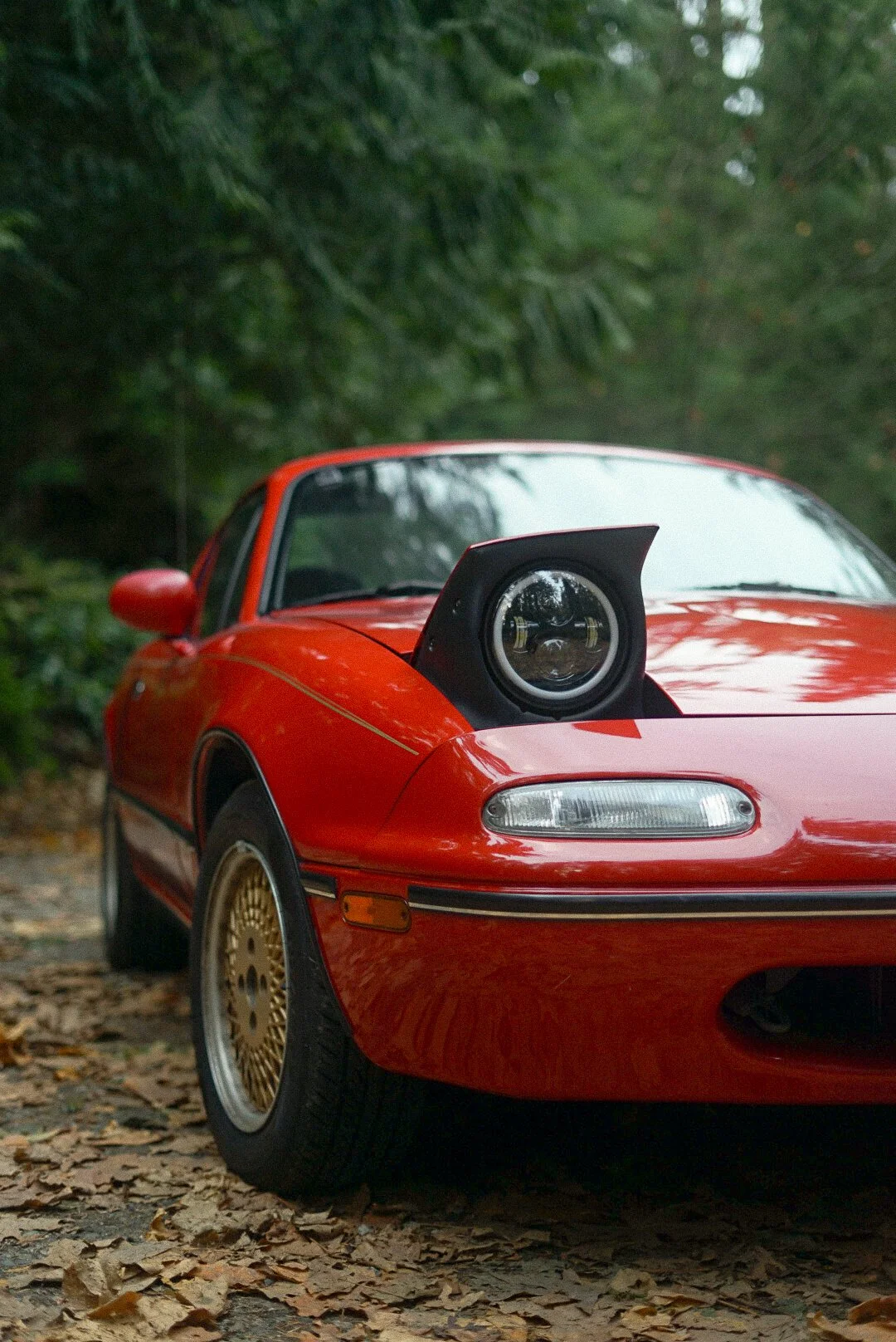 A red sports car parked on a leaf-covered ground with a natural, wooded background. The car has pop-up headlights that are raised.