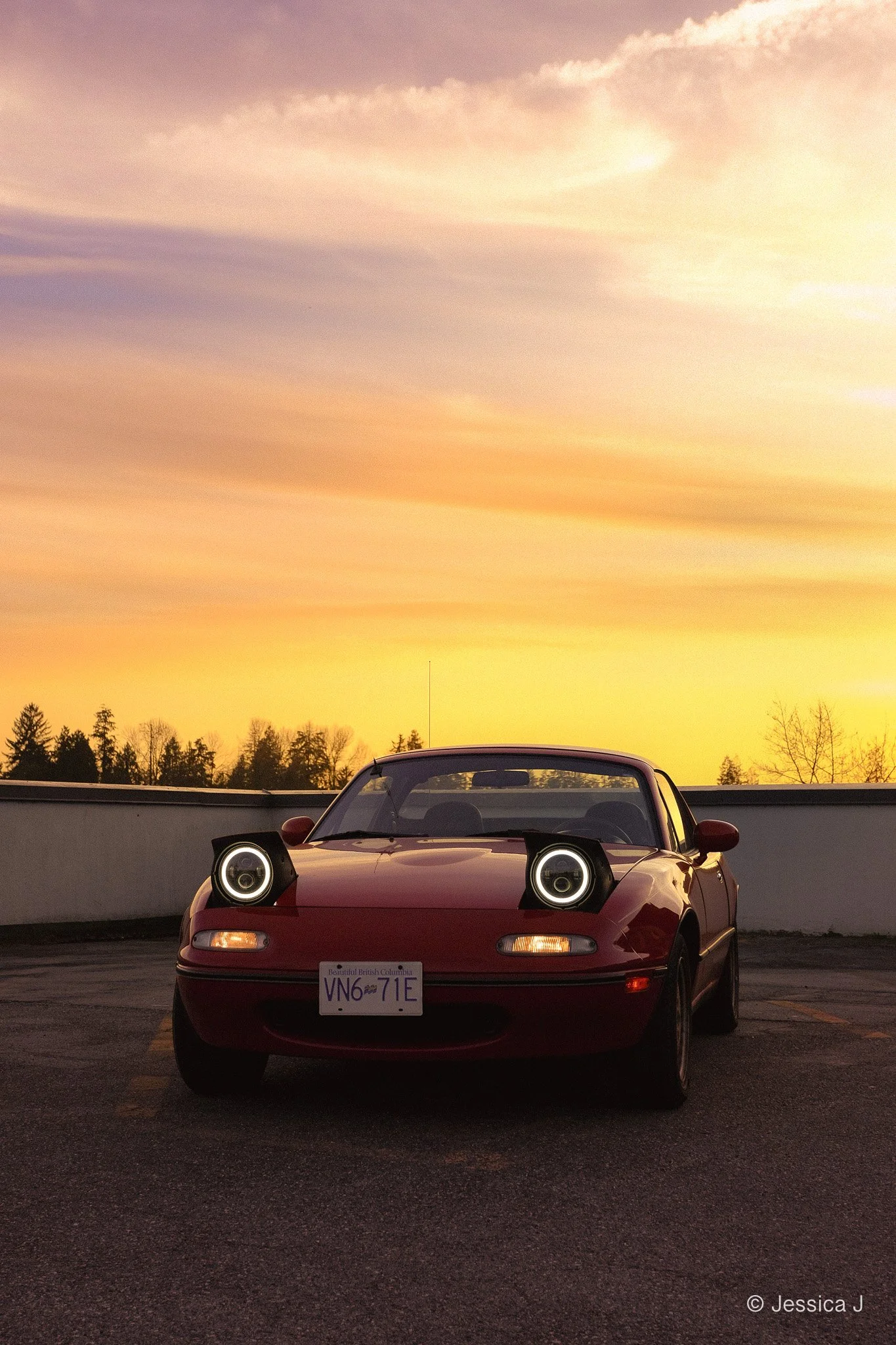 BC9C6CEC-04BC-4297-A6EC-E6AD19BE136E-2.jpg