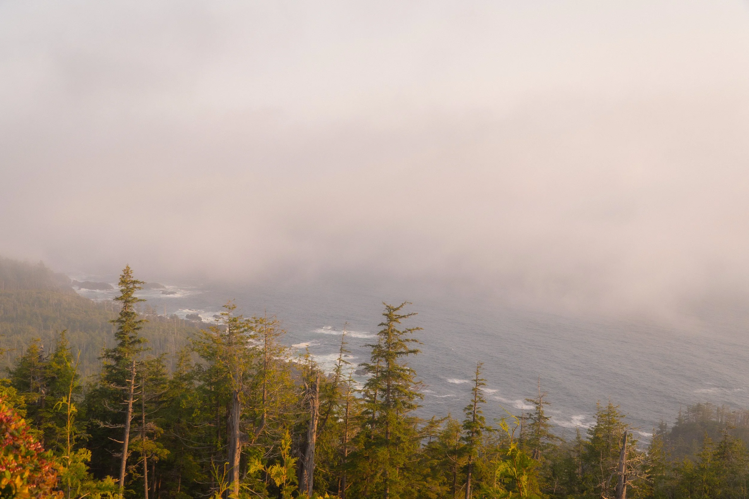 Coastal view with forested shoreline, ocean waves, and foggy weather.