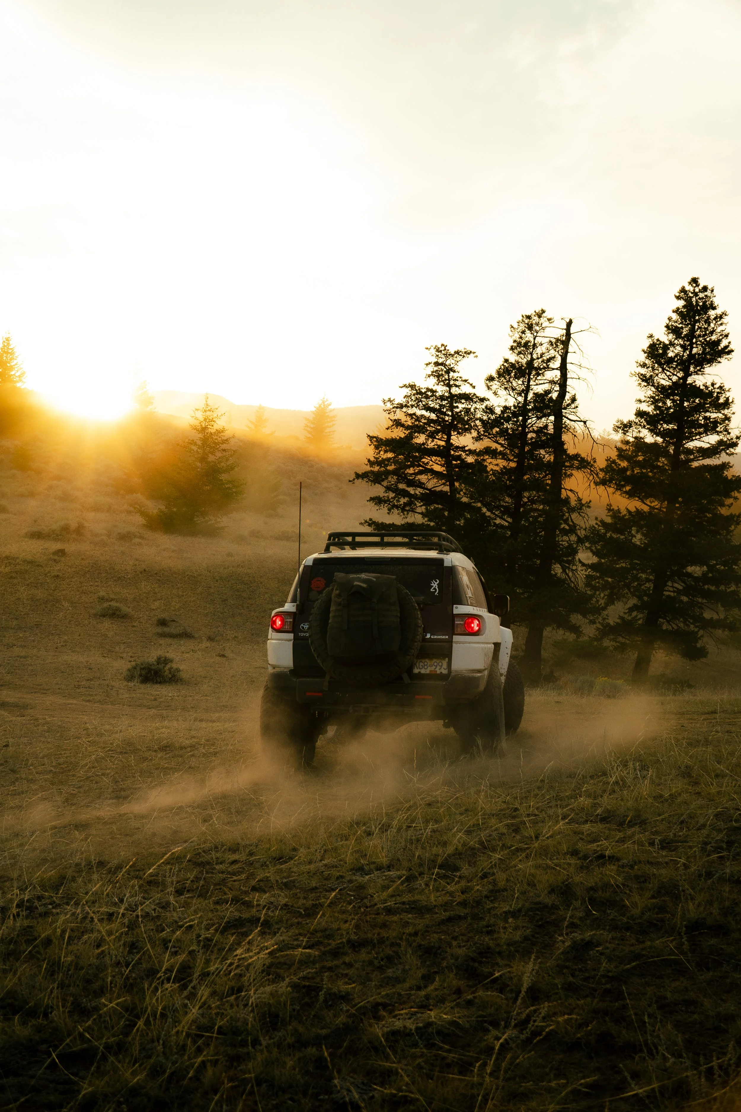 A white SUV driving on a dirt path through a grassy landscape with trees at sunset.