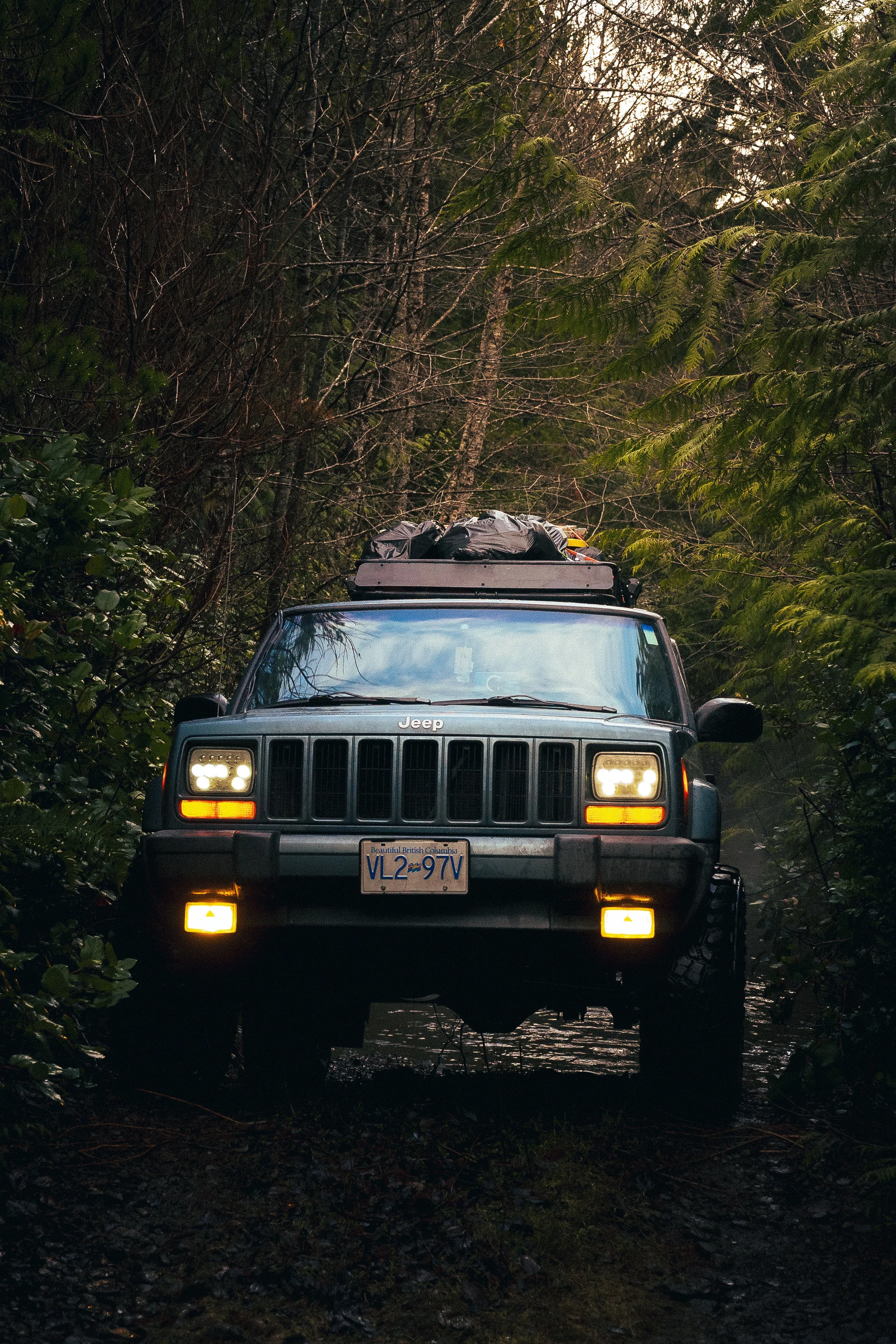 A Jeep vehicle driving on a narrow, muddy forest trail surrounded by dense green foliage and trees with bare branches, with its headlights and fog lights turned on, and a roof rack loaded with gear.