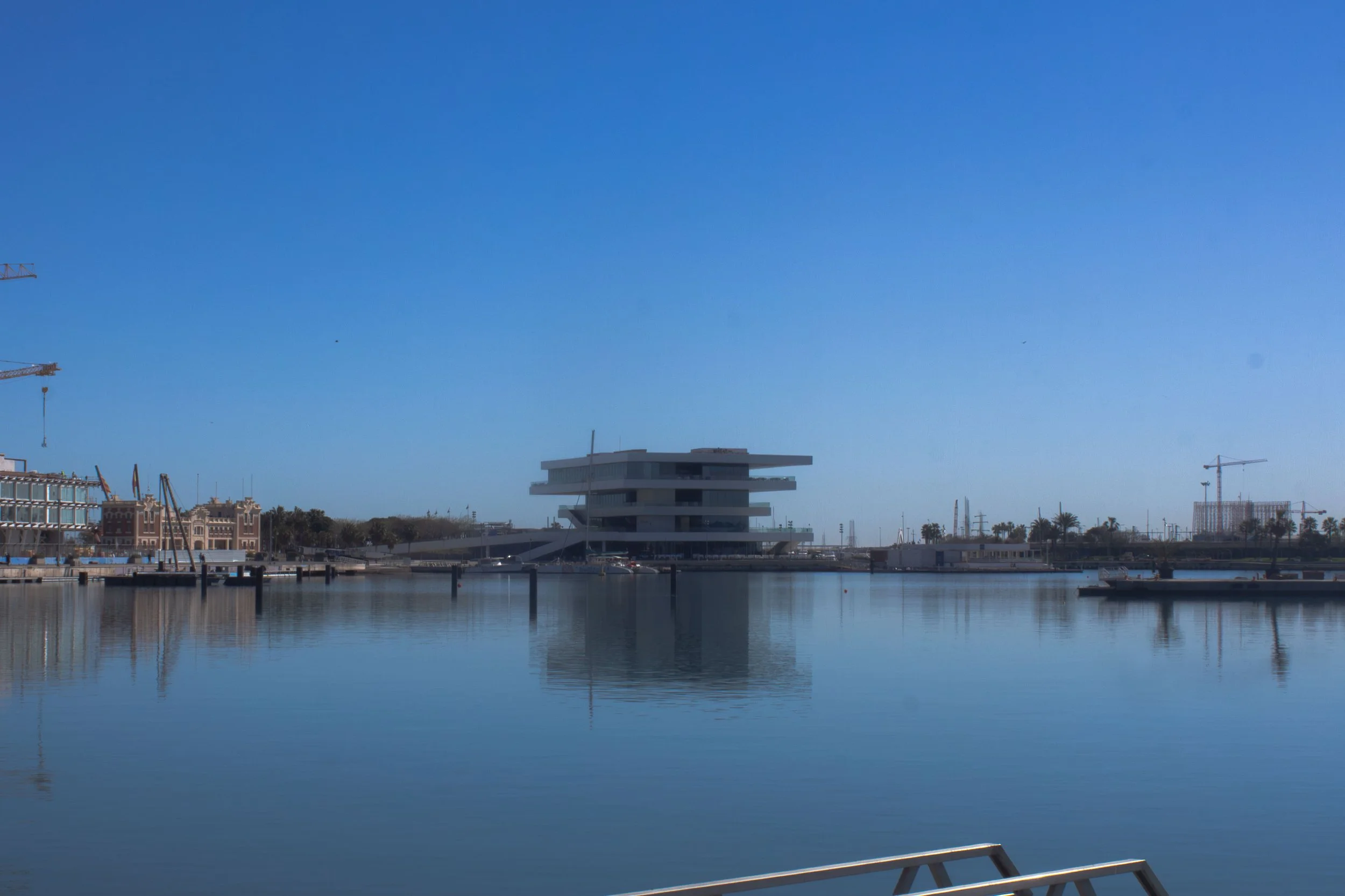_MG_4593.jpg