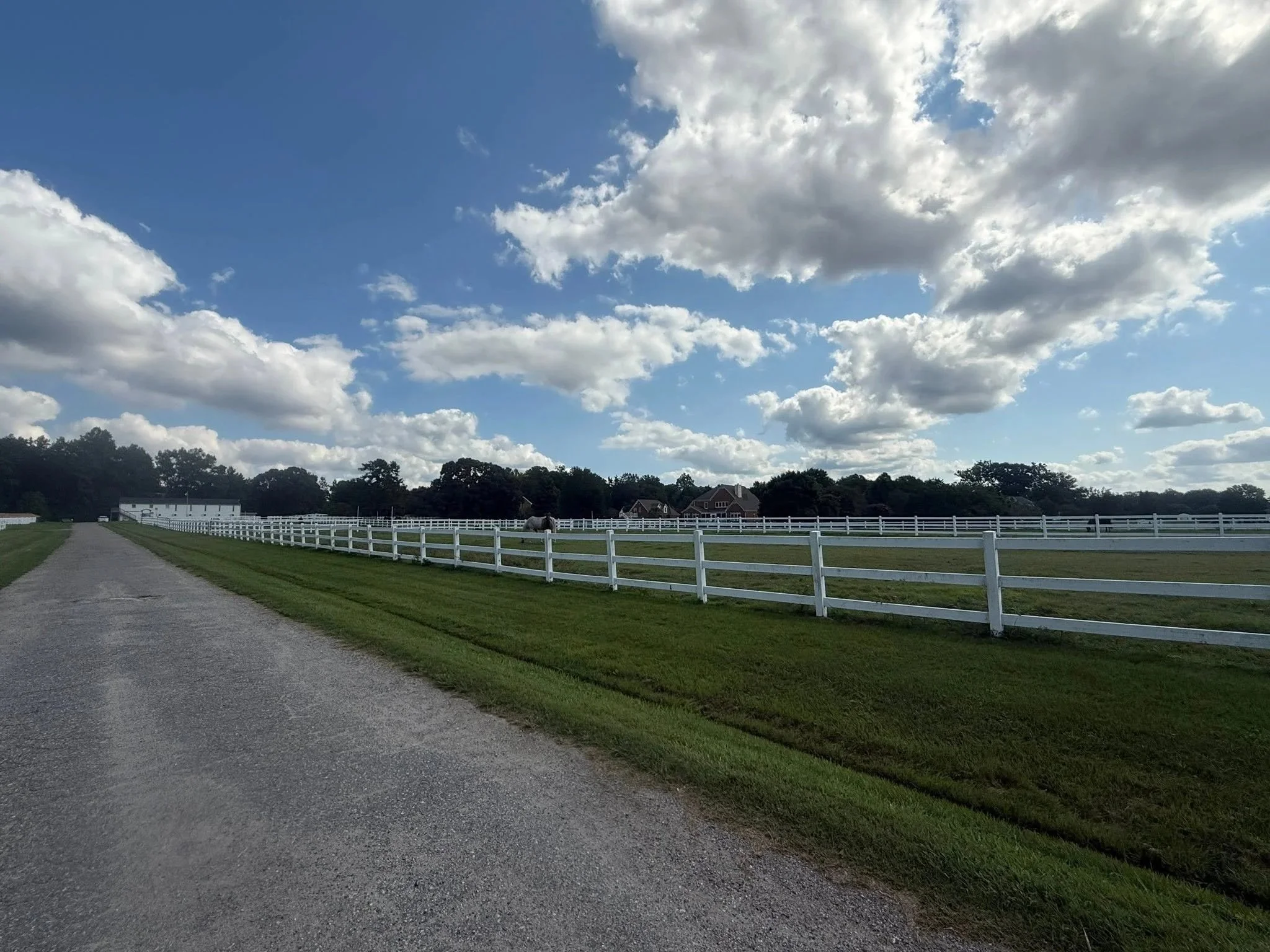 A rural scene with a pathway alongside a white fence, green grass, a horse grazing, trees, houses in the distance, and a sky with scattered clouds.