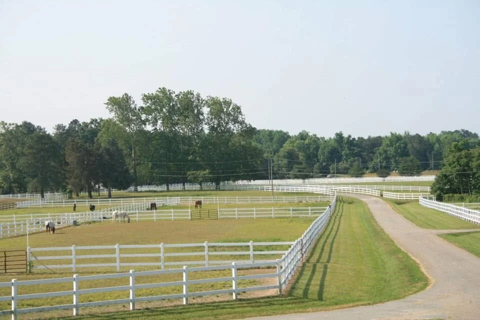 A rural farm scene with white fenced-in pastures and horses grazing, with trees and a dirt road on a sunny day.