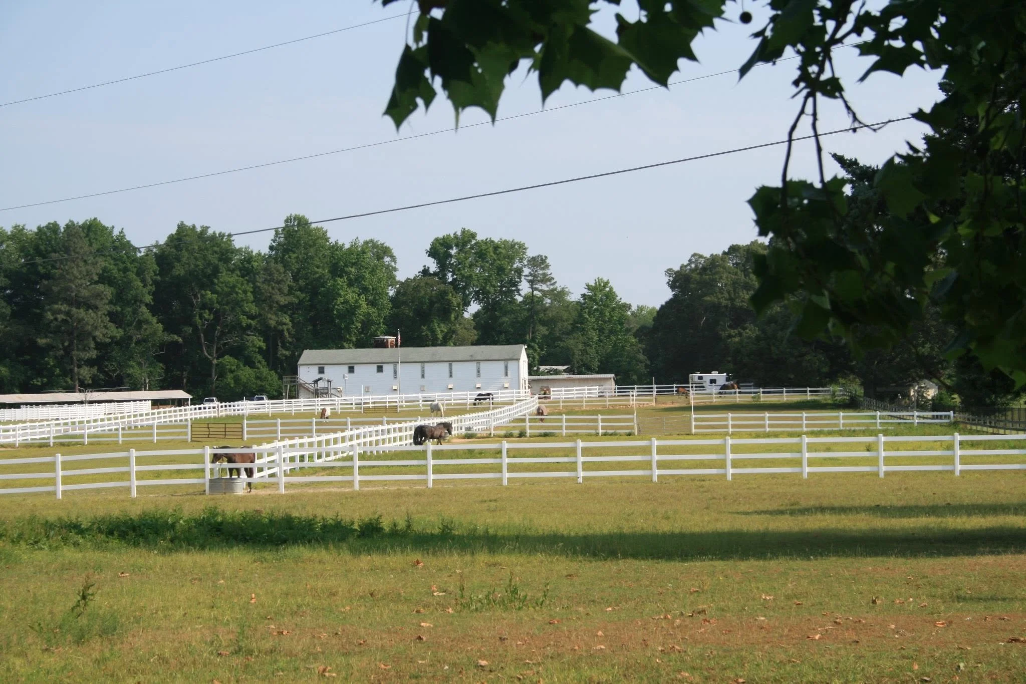 A rural scene with a white barn, fenced pasture, grazing horses, trees in the background, and power lines overhead.
