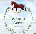 Equine Boarding