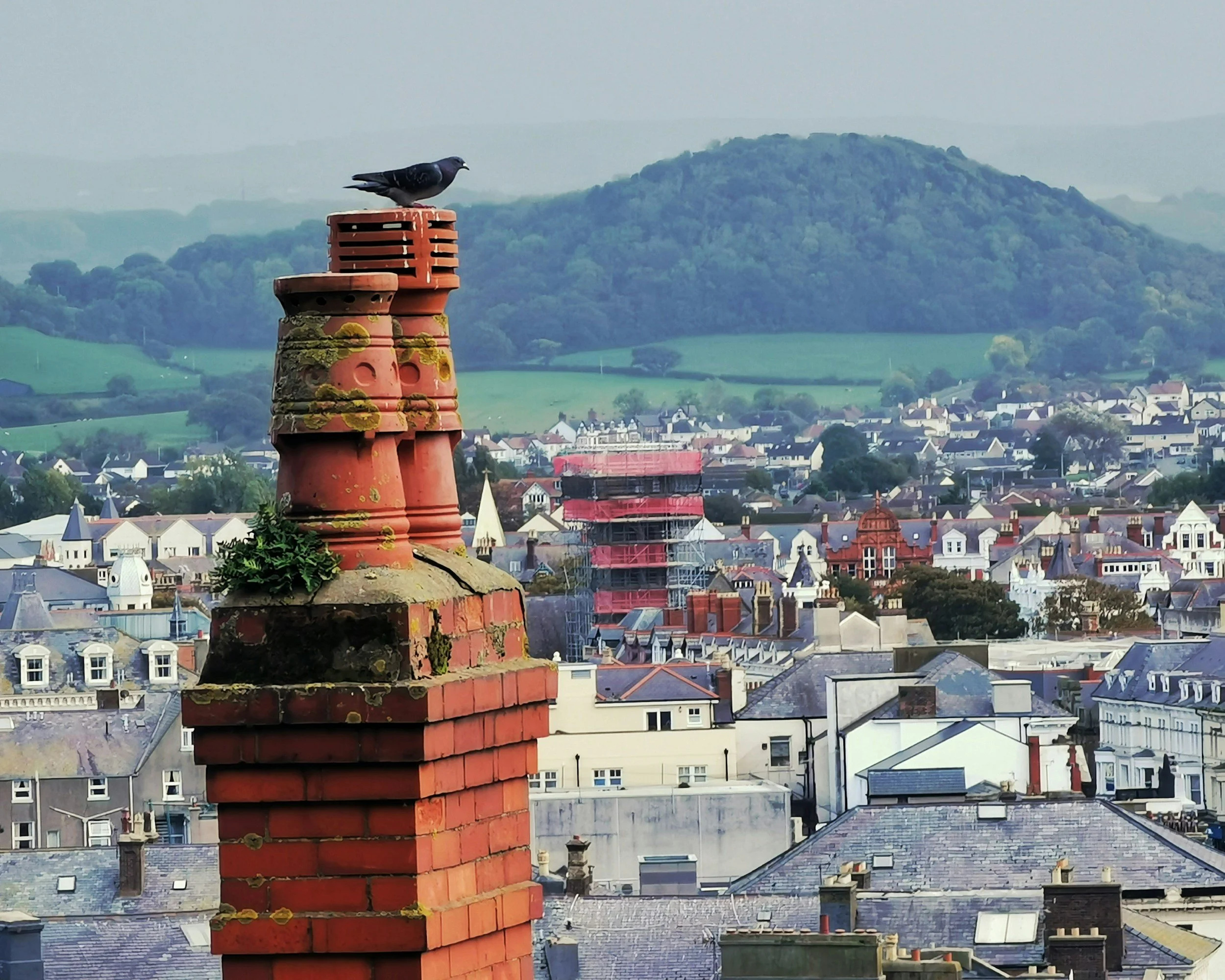 Chimney Swift Chimney Sweep Scotland Central Belt Airdrie Glasgow Edinburgh North Lanarkshire