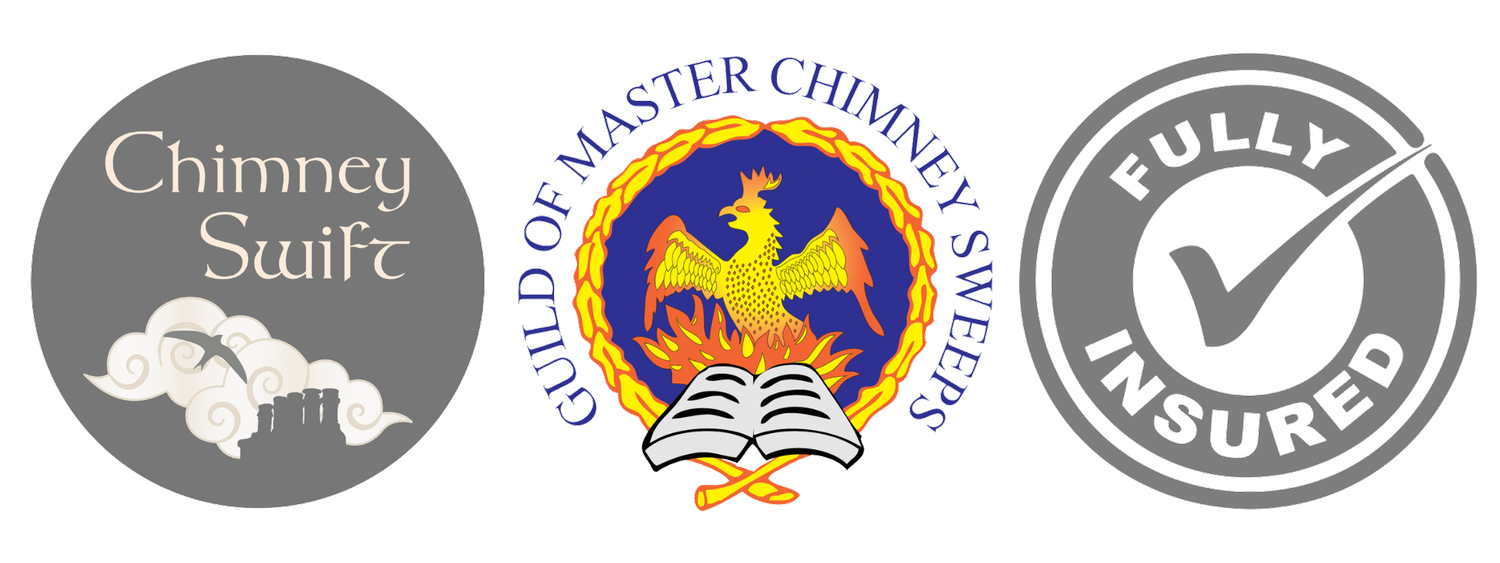 Chimney Swift Chimney Sweep
