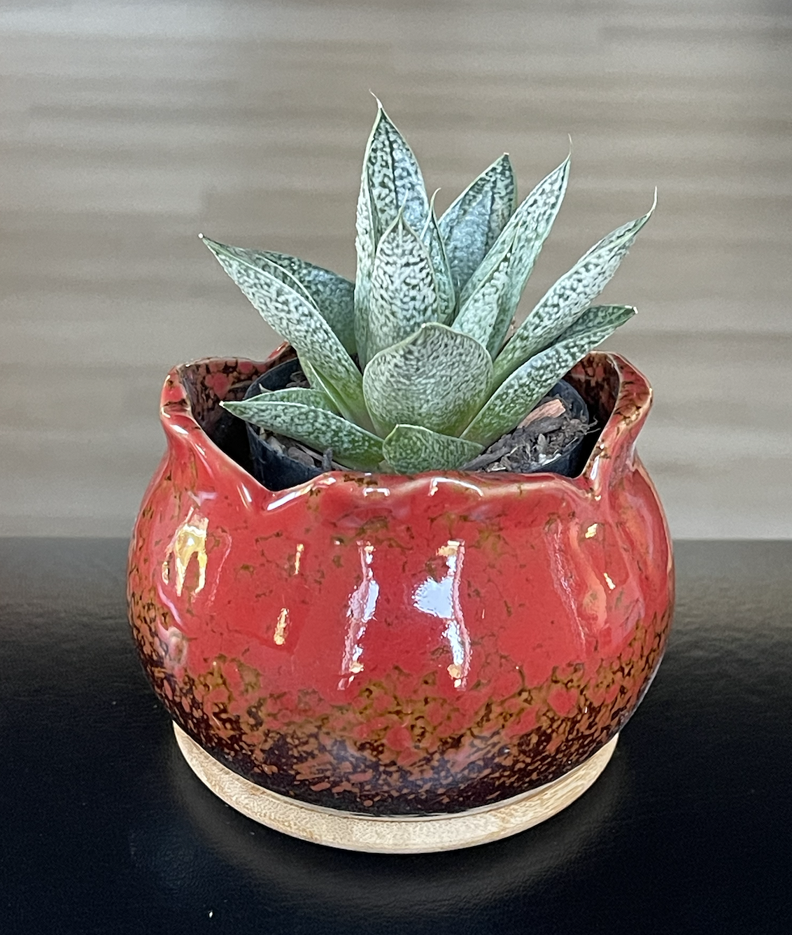 "Robin" Succulent in 4" Glazed Pot.png