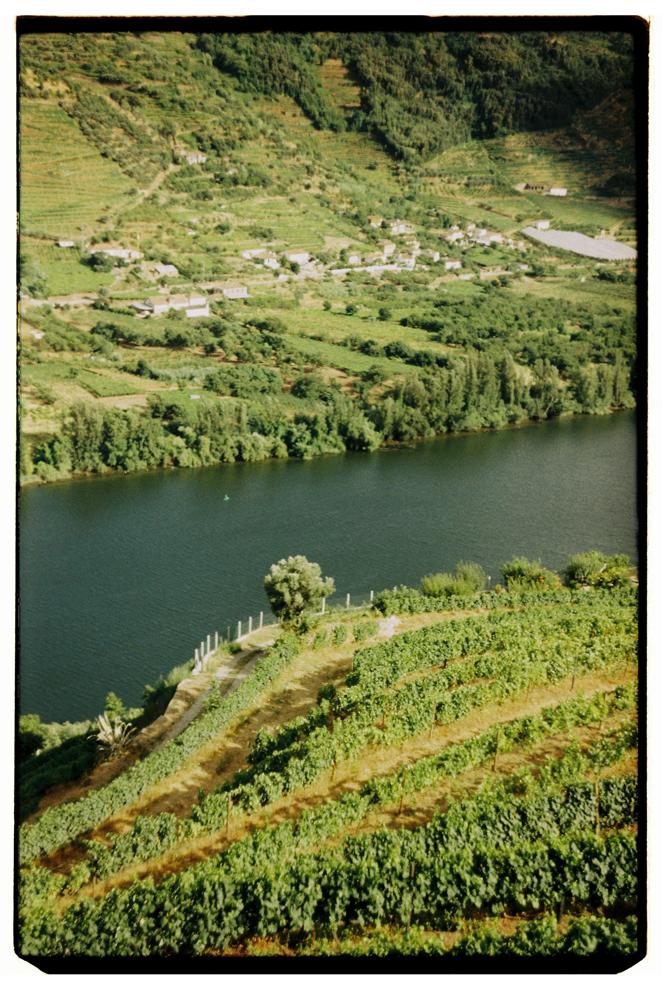 Peso da Régua