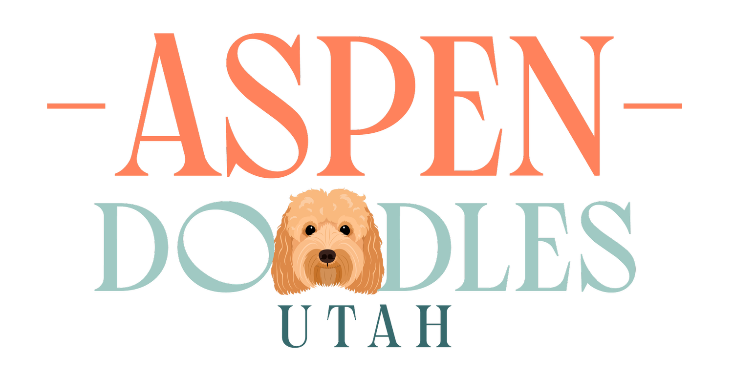 Aspen Doodles Utah