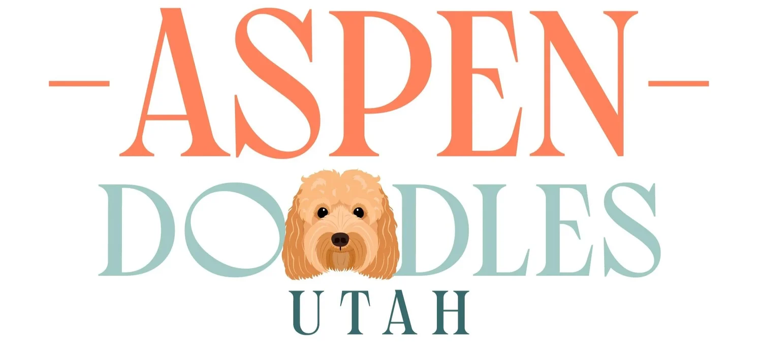 Aspen Doodles Utah