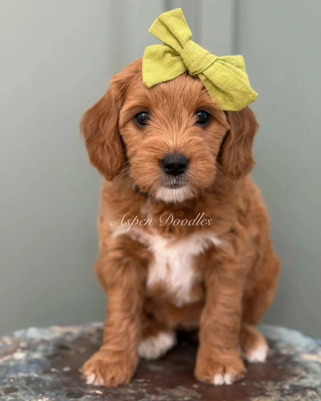 IMG_7108.jpg