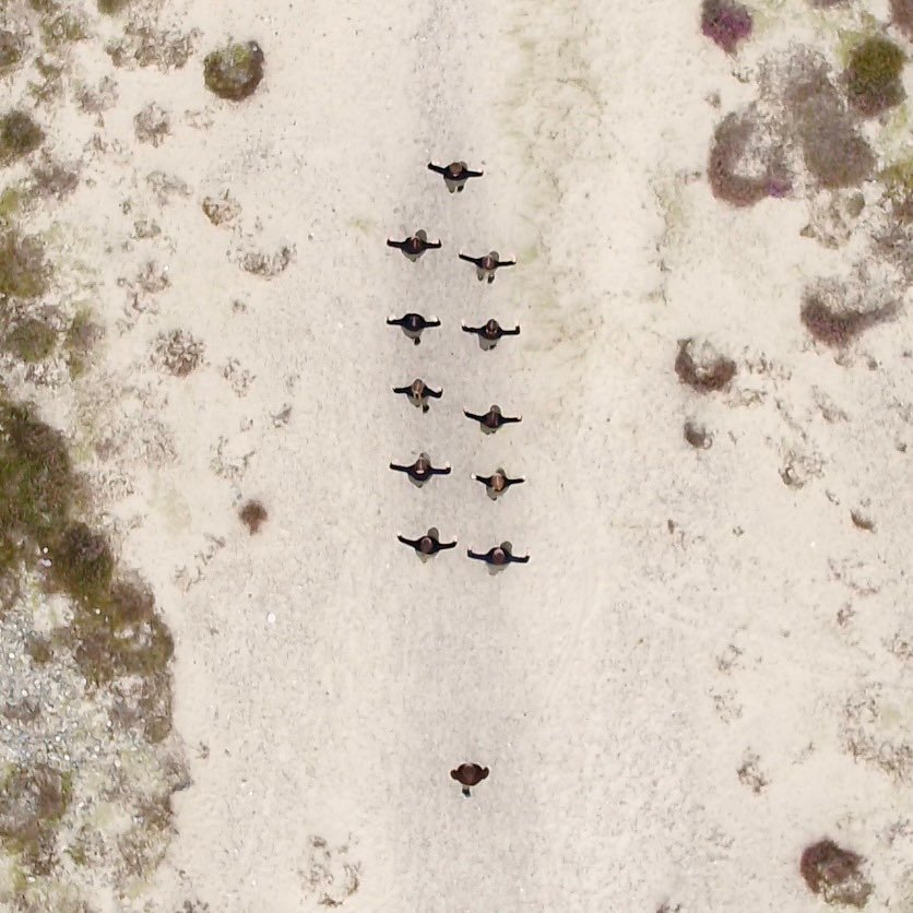 A couple of shots taken whilst flying for the @dancenorthscot upcoming film from their tremendous production &rsquo;Savage&rsquo;.

#aerialfilming #aerialphotography