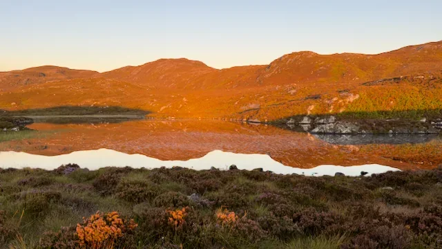 strathconan-loch-golden-sunset-heather.webp