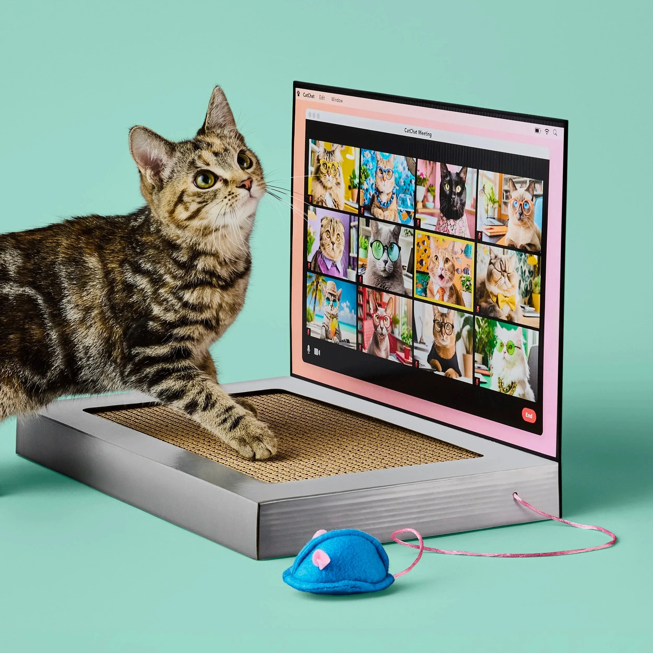A tabby cat with green eyes sitting on a beige mat in front of a computer monitor displaying colorful images of other cats wearing glasses and accessories.