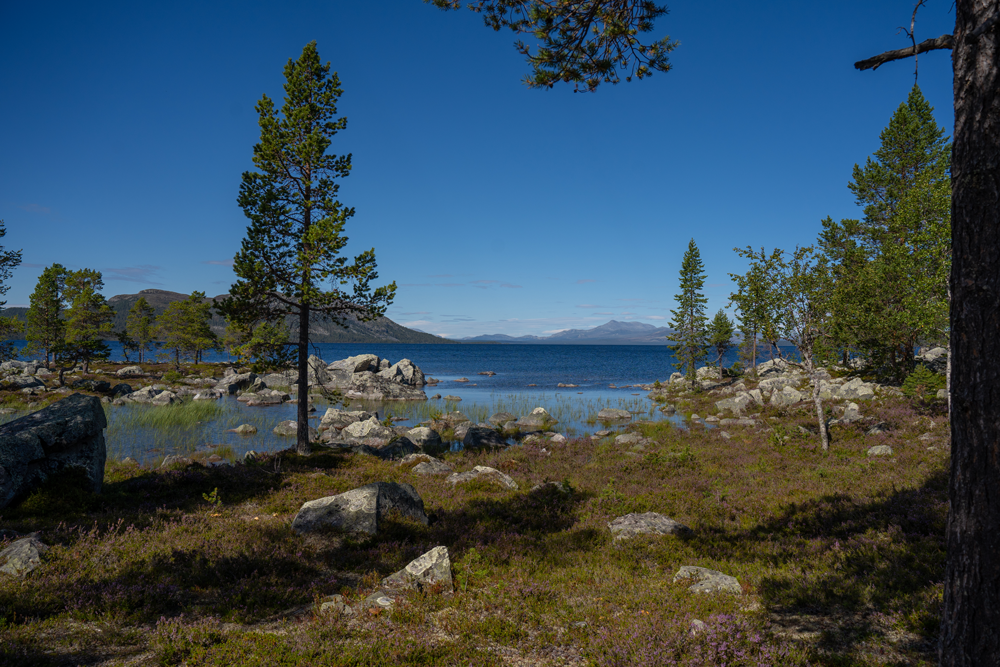 Johanne S. Refseth, kjent som Psykolog med sovepose, bruker naturen som en sentral del av sin formidling om psykologi og psykisk helse.