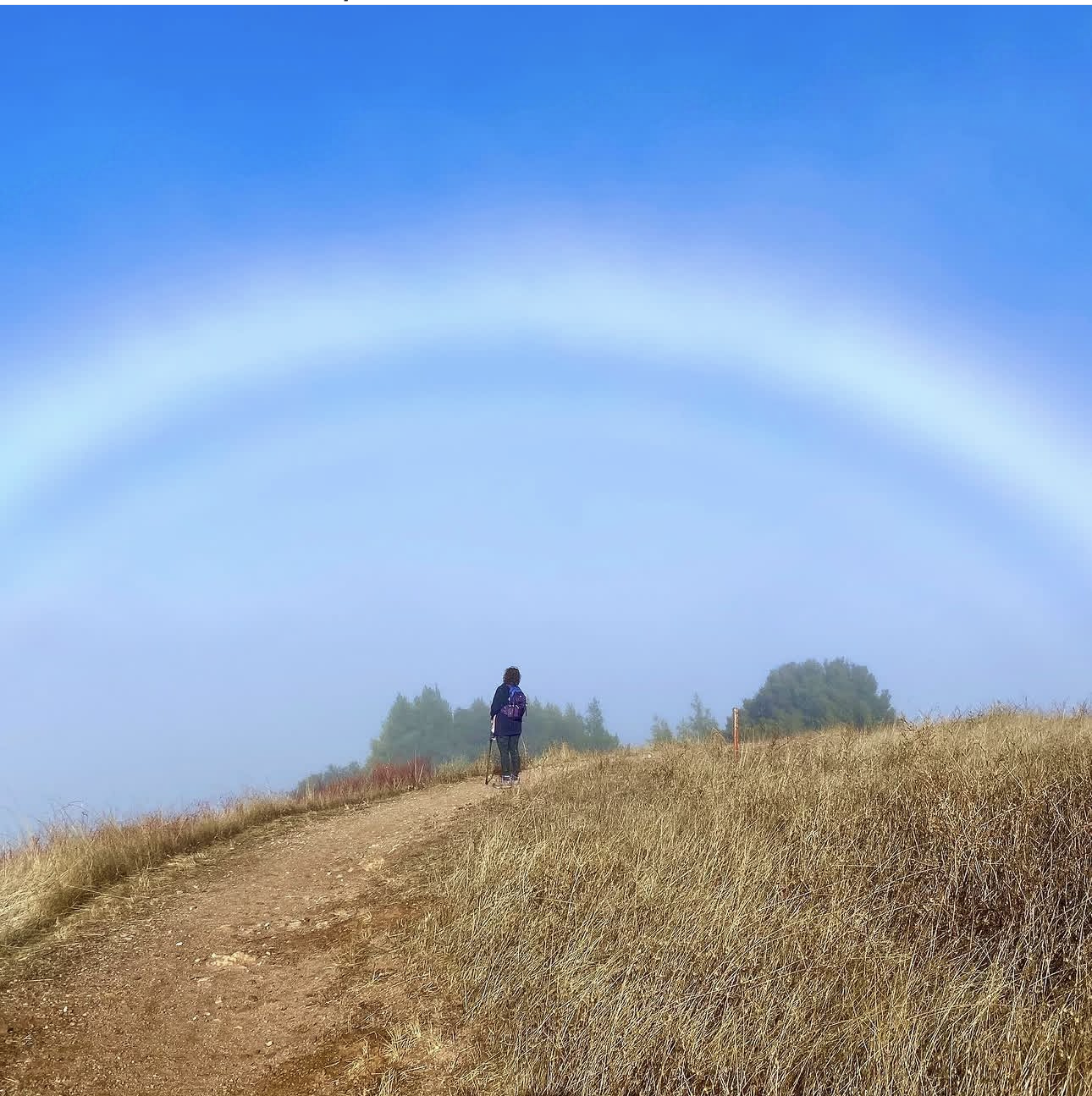 A person walking on a dirt trail through tall grassy fields under a bright blue sky, with a rainbow stretching across the sky in the background.