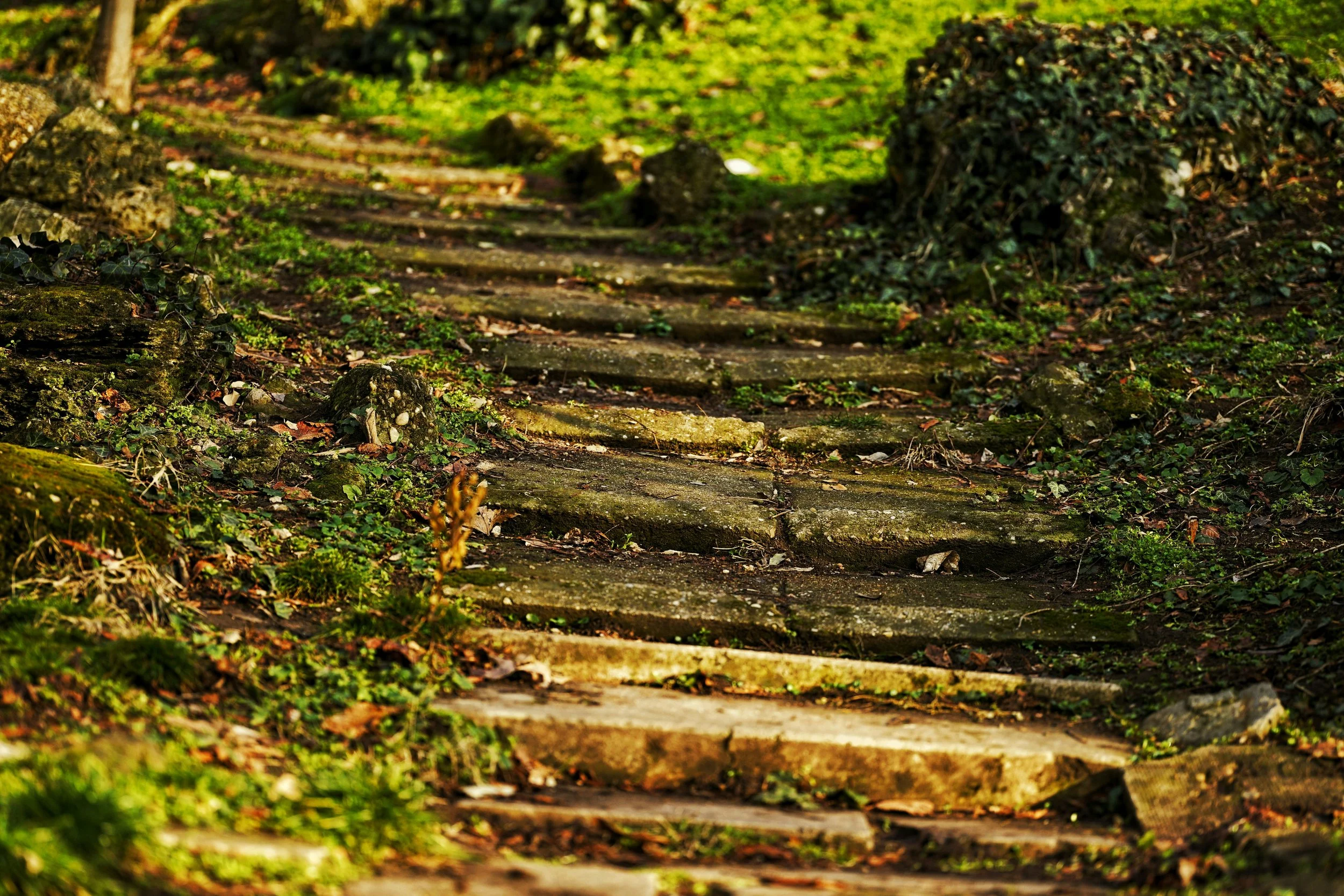 Small Steps Create Meaningful Change