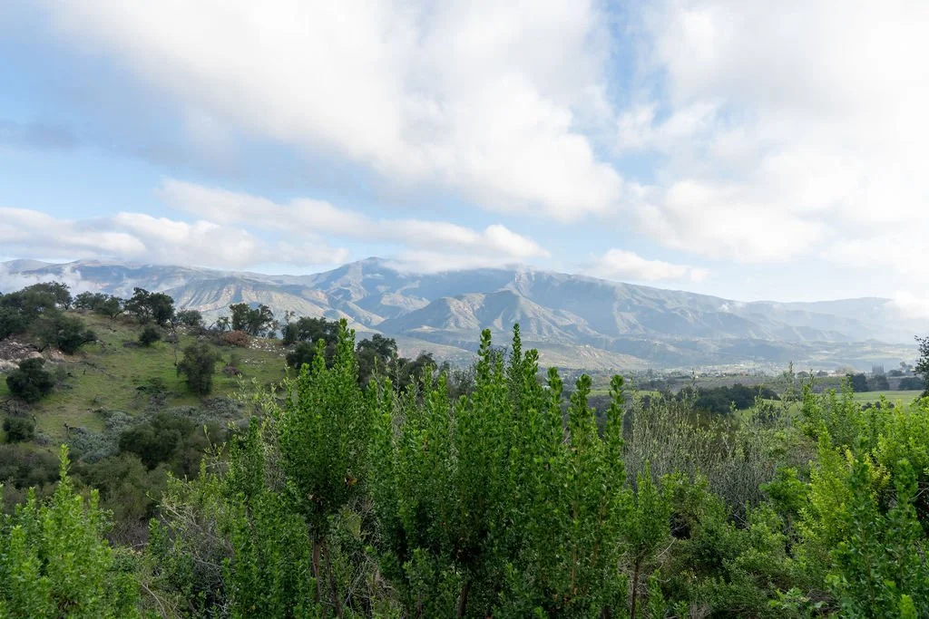 A scenic landscape with green shrubs in the foreground, rolling hills with scattered trees, and mountain ranges partially covered by clouds in the background.
