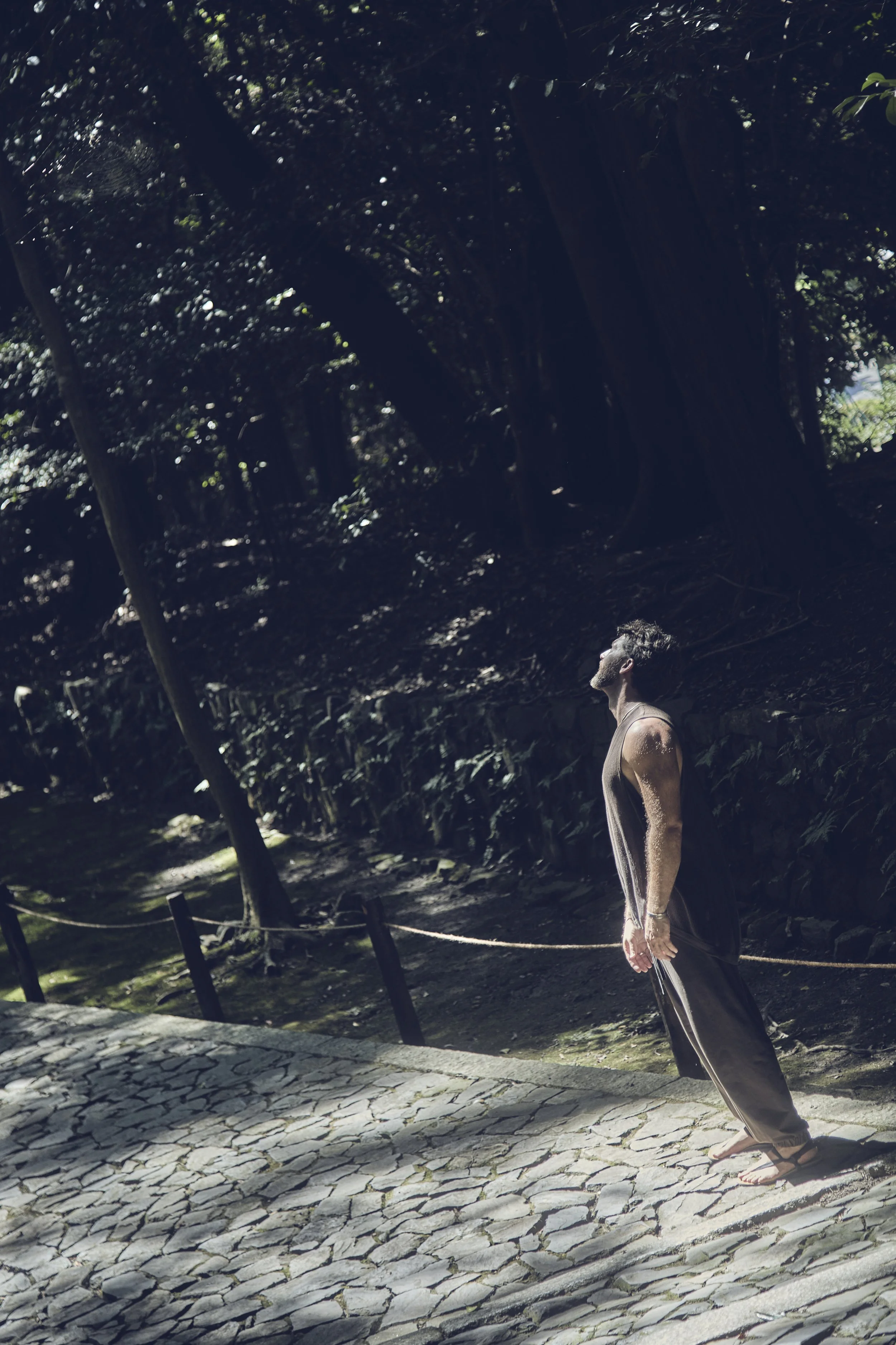 A man standing barefoot on a cobblestone path, surrounded by dense, dark green trees, with sunlight filtering through the foliage.