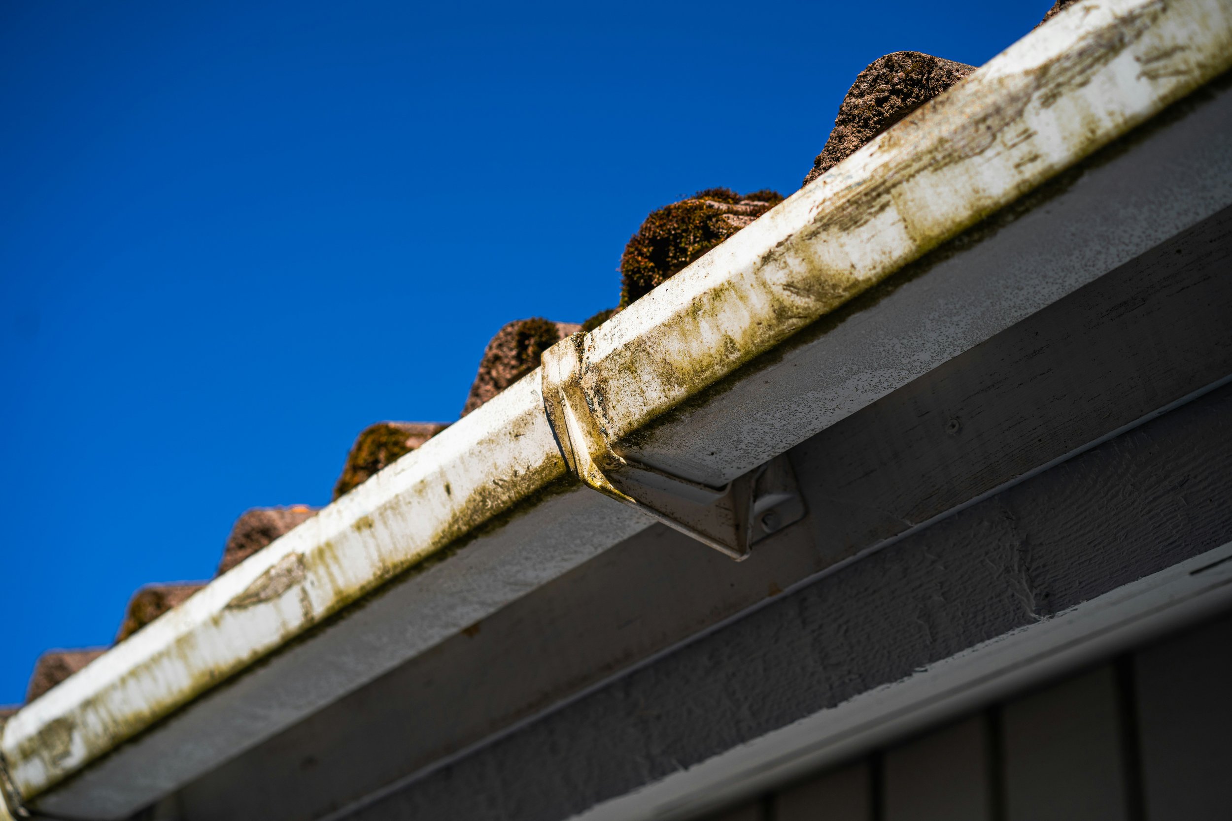 Professional Gutter Restoration