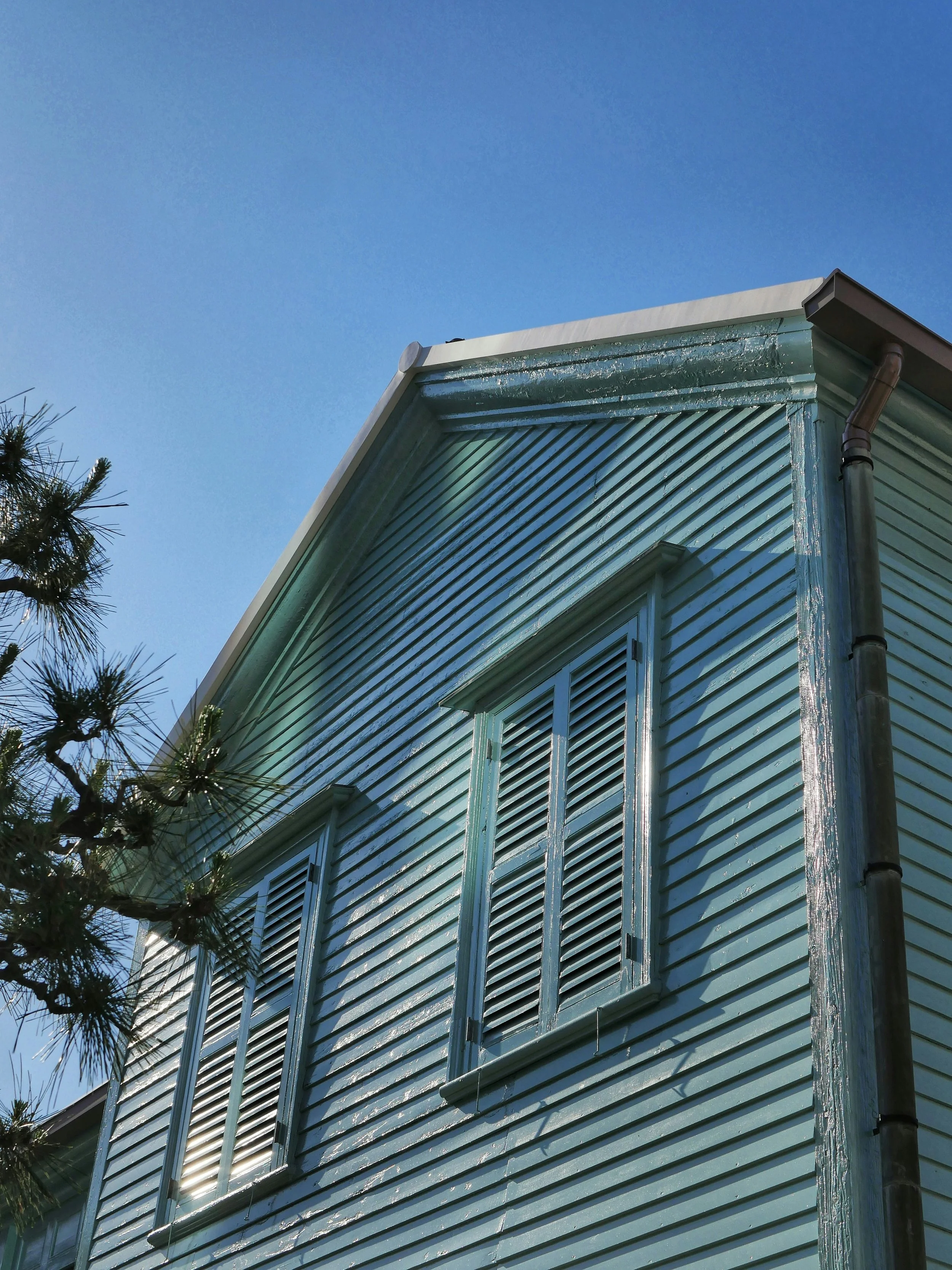 Professional House Soft Washing