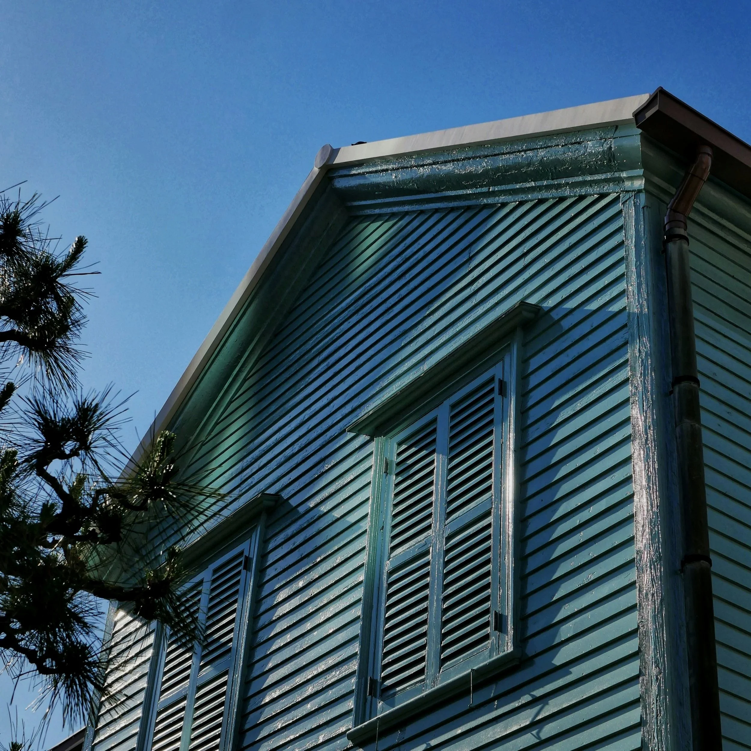 Close-up of a house's green siding with snow or ice on the edges, under a clear blue sky, with pine tree branches in the foreground.