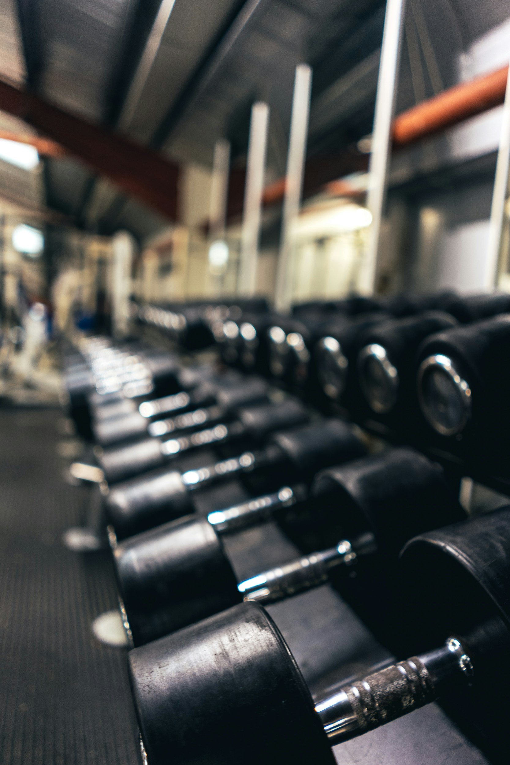 Row of black dumbbells on a rack in a gym