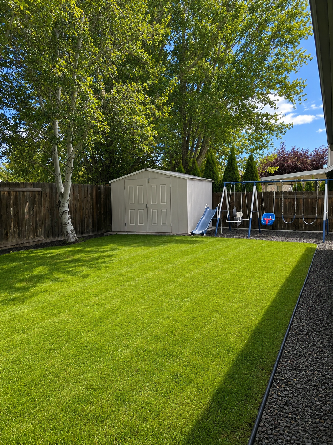 A backyard with lush green grass, a wooden fence, a white storage shed, a swing set with slides and swings, and a large tree with green leaves under a partly cloudy blue sky.