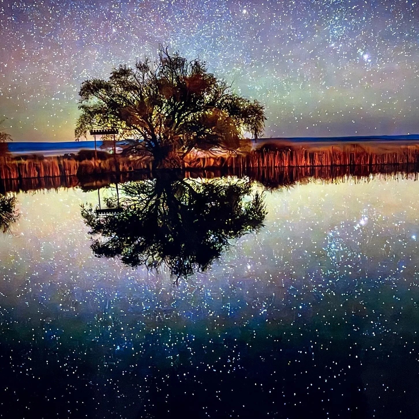A tree with bare branches is reflected in a calm body of water, with a starry night sky overhead and colorful clouds in the background.