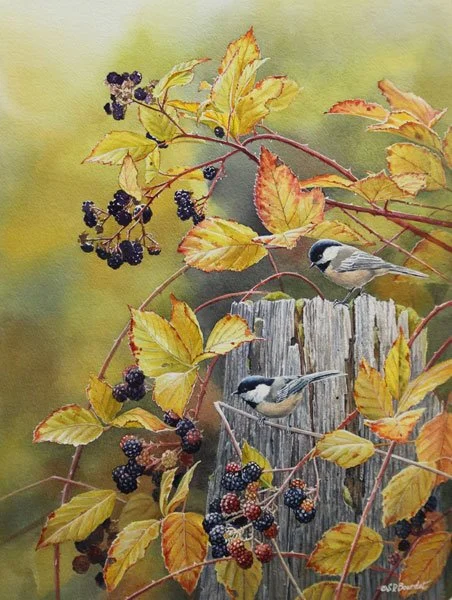 Two small birds perched on a weathered wooden post amid blackberry brambles with yellow and orange leaves and ripe blackberries.