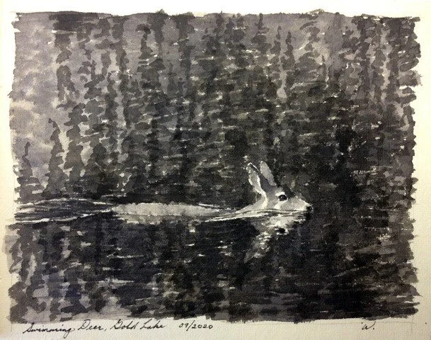 A black and white watercolor painting of a deer swimming in a lake with trees in the background.