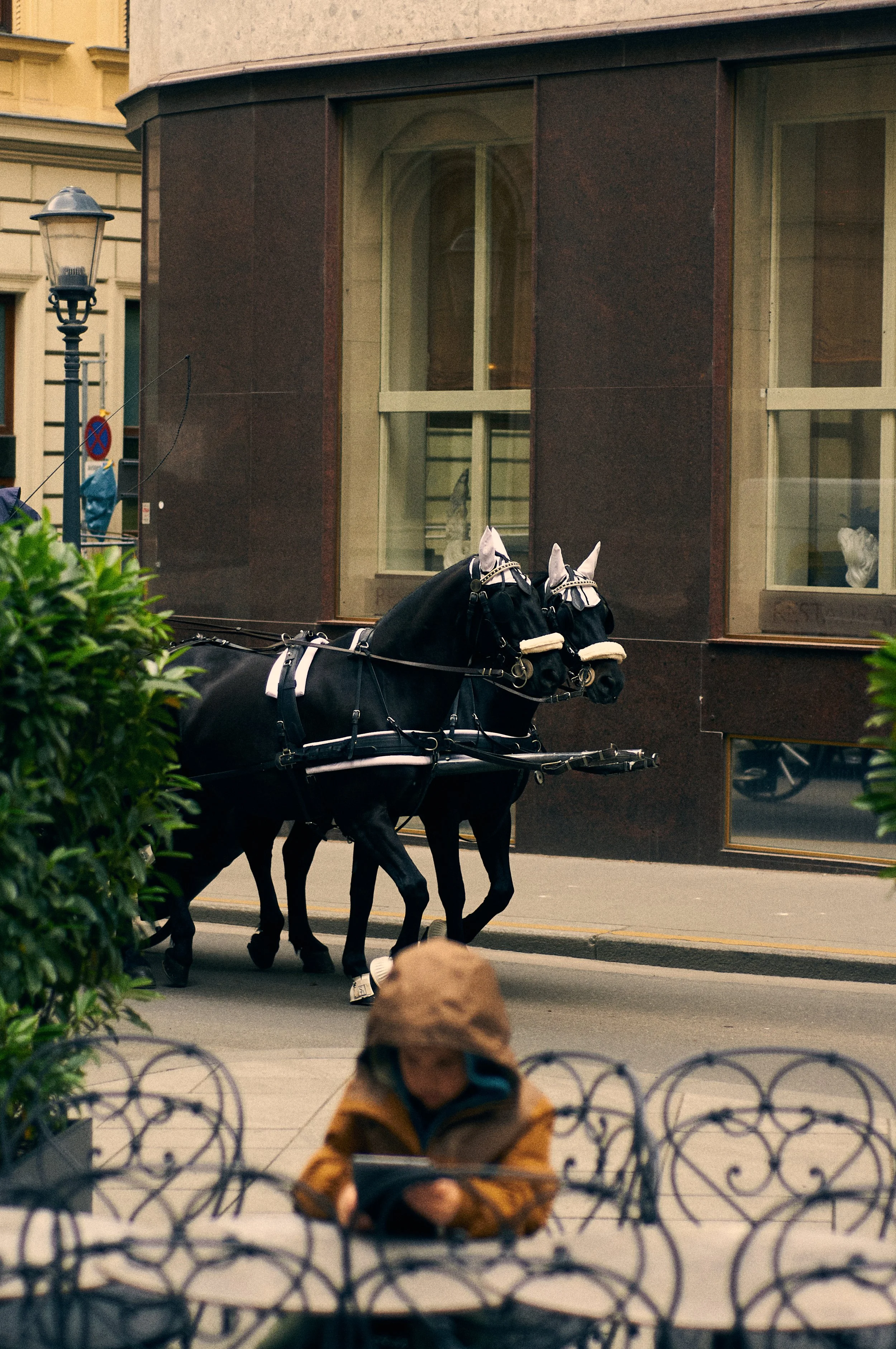 A street scene with a black horse pulling a carriage, two large windows on a brown building, a green bush, a person in an orange jacket and blue face mask sitting behind a decorative metal fence, and a person in a yellow jacket walking in the backgro