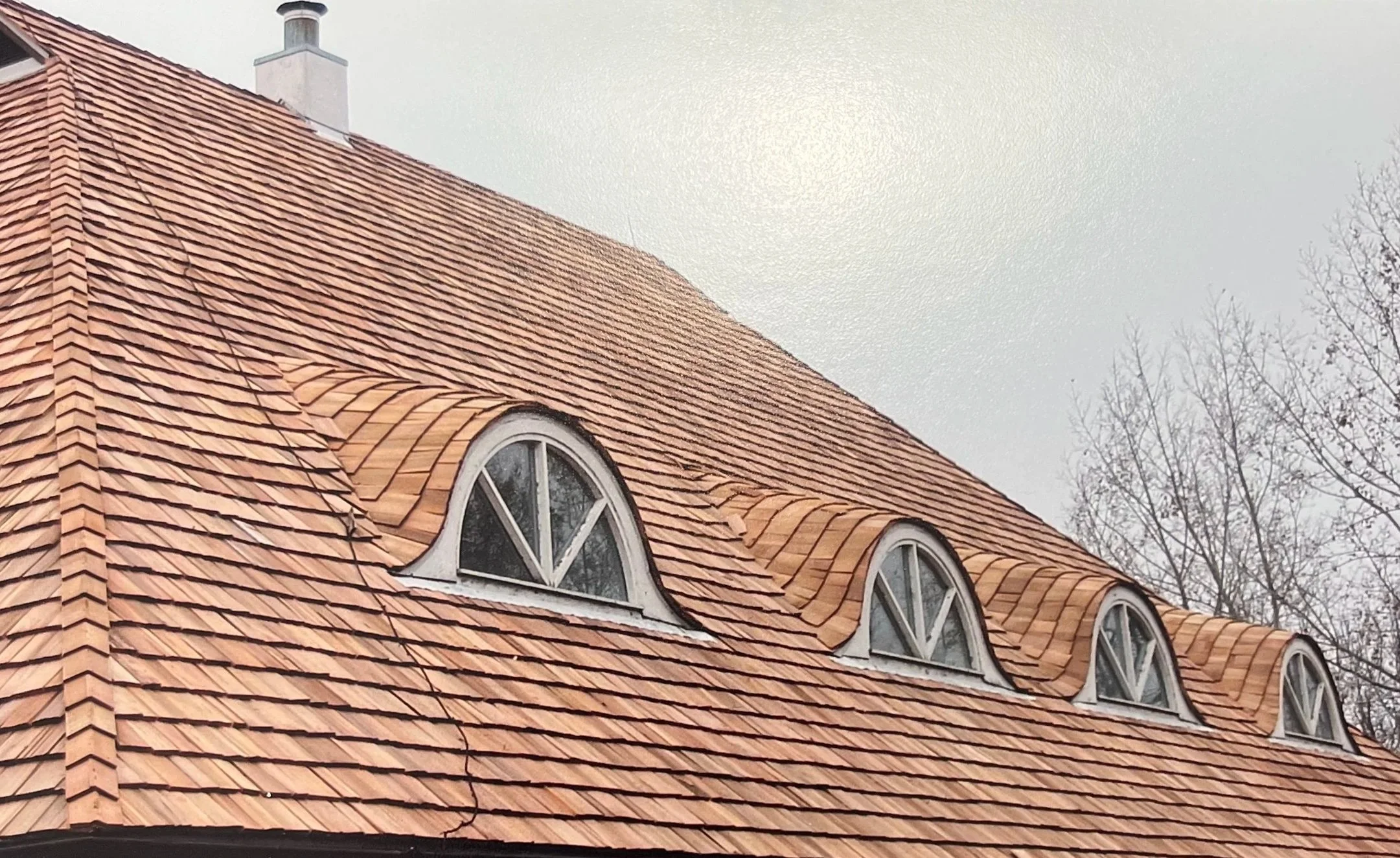 RenderedImage+%282%29.jpg