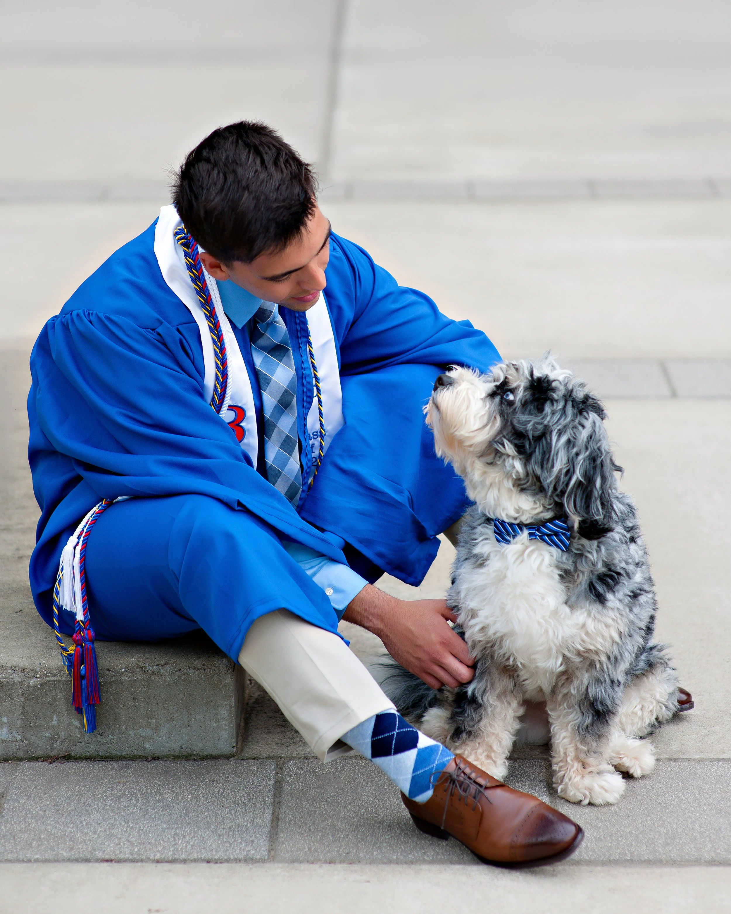 A young man in a blue graduation gown with medals and cords sitting on a concrete step, petting a black and white English Sheepdog with a bow tie, on a sidewalk.