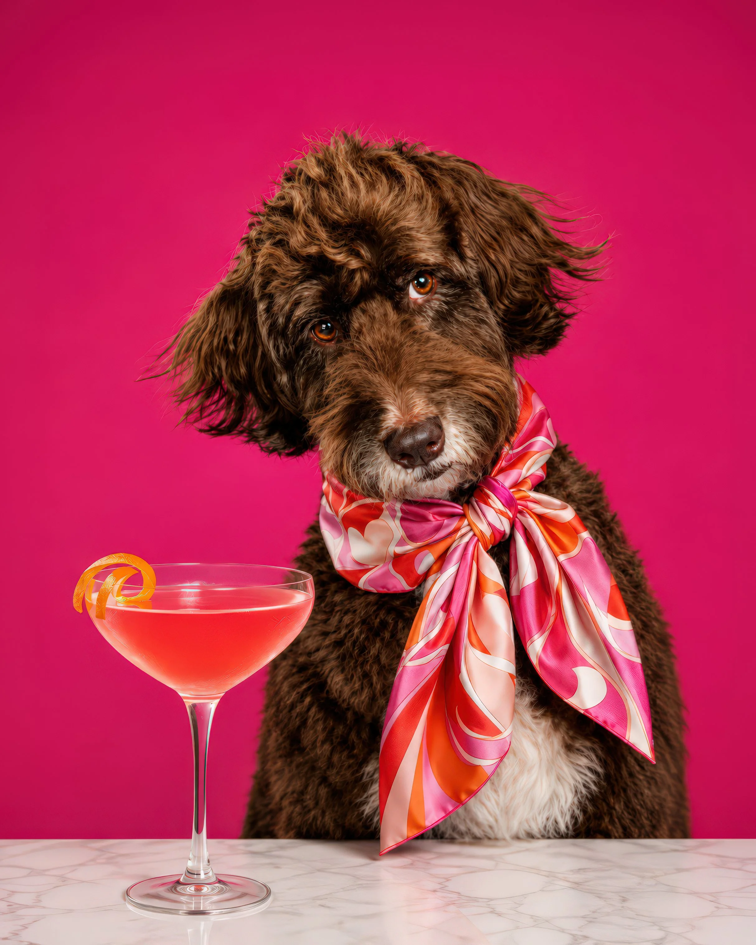 A brown curly-haired dog wearing a pink and orange patterned bandana around its neck, looking at the camera, with a pink background and a cocktail glass filled with a pink drink garnished with orange peel on a white marble surface.