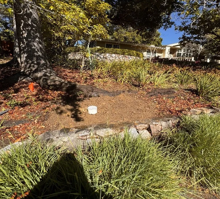 A garden bed with plants and mulch, bordered by rocks, under a large tree with a shaded trunk. A white sprinkler head is in the garden, and a house with large windows is visible in the background.