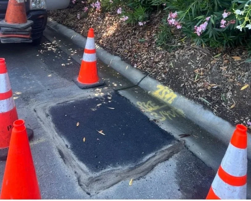 A section of asphalt paving has been freshly repaired and is surrounded by orange traffic cones. There is a curb and flowerbed with pink flowers in the background.