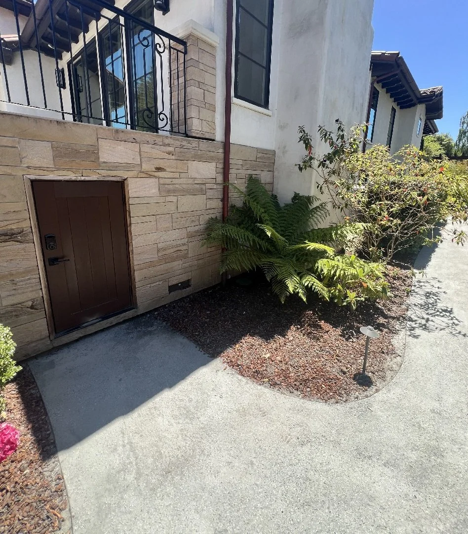 Exterior view of a residential building with a small door, plants, and a sidewalk in sunlight.
