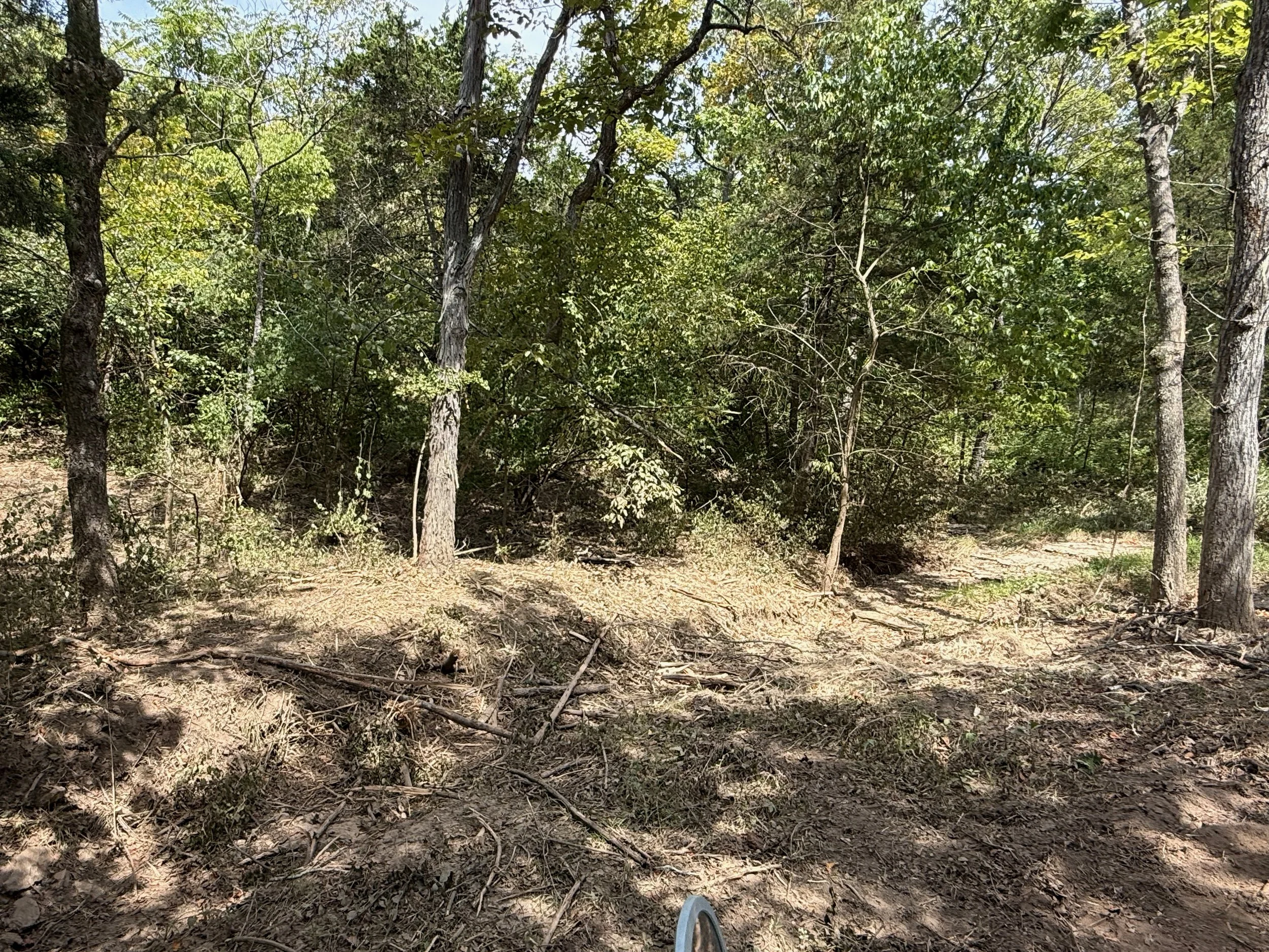 A dirt pathway through a forest with tall trees and green foliage, with boots visible at the bottom of the photo.