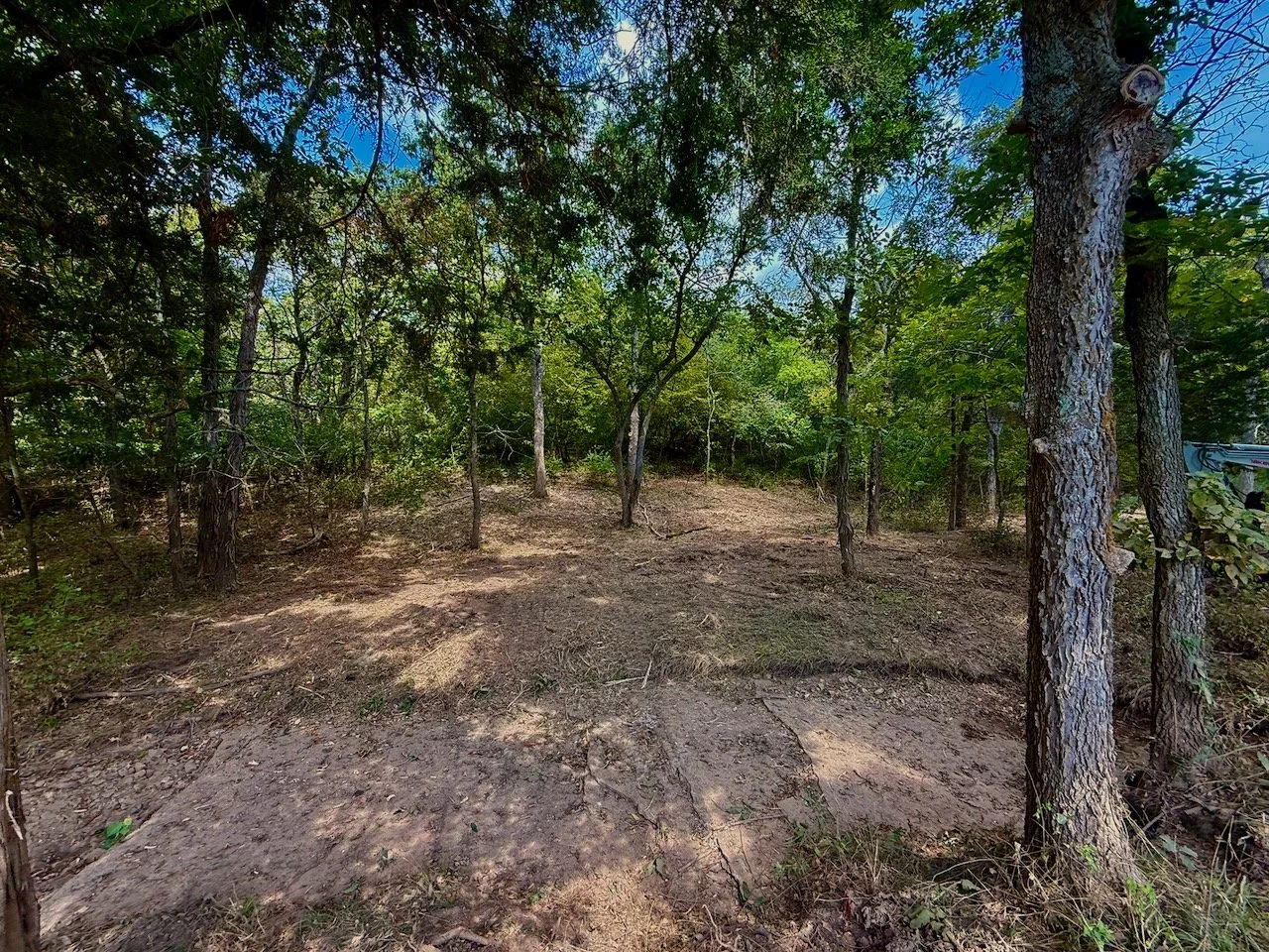A dirt clearing in a wooded area with tall trees, green foliage, and a partly cloudy blue sky.