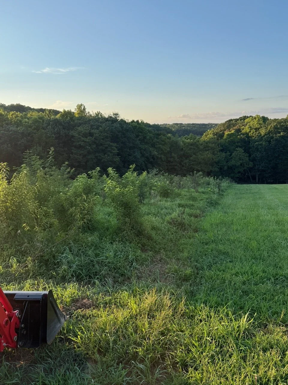 A landscape of a grassy field with a line of bushes and dense trees in the background, under a clear blue sky with a few small clouds, and part of a red tractor's black bucket visible in the lower left corner.