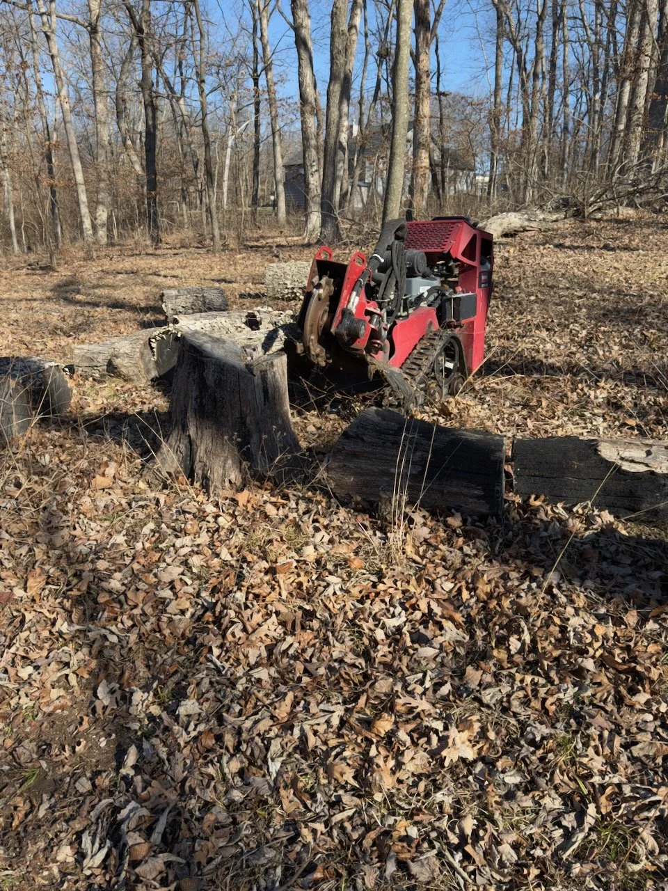 A small red forestry robot with tracks, sitting among fallen leaves and tree stumps in a wooded area with trees and a house in the background.