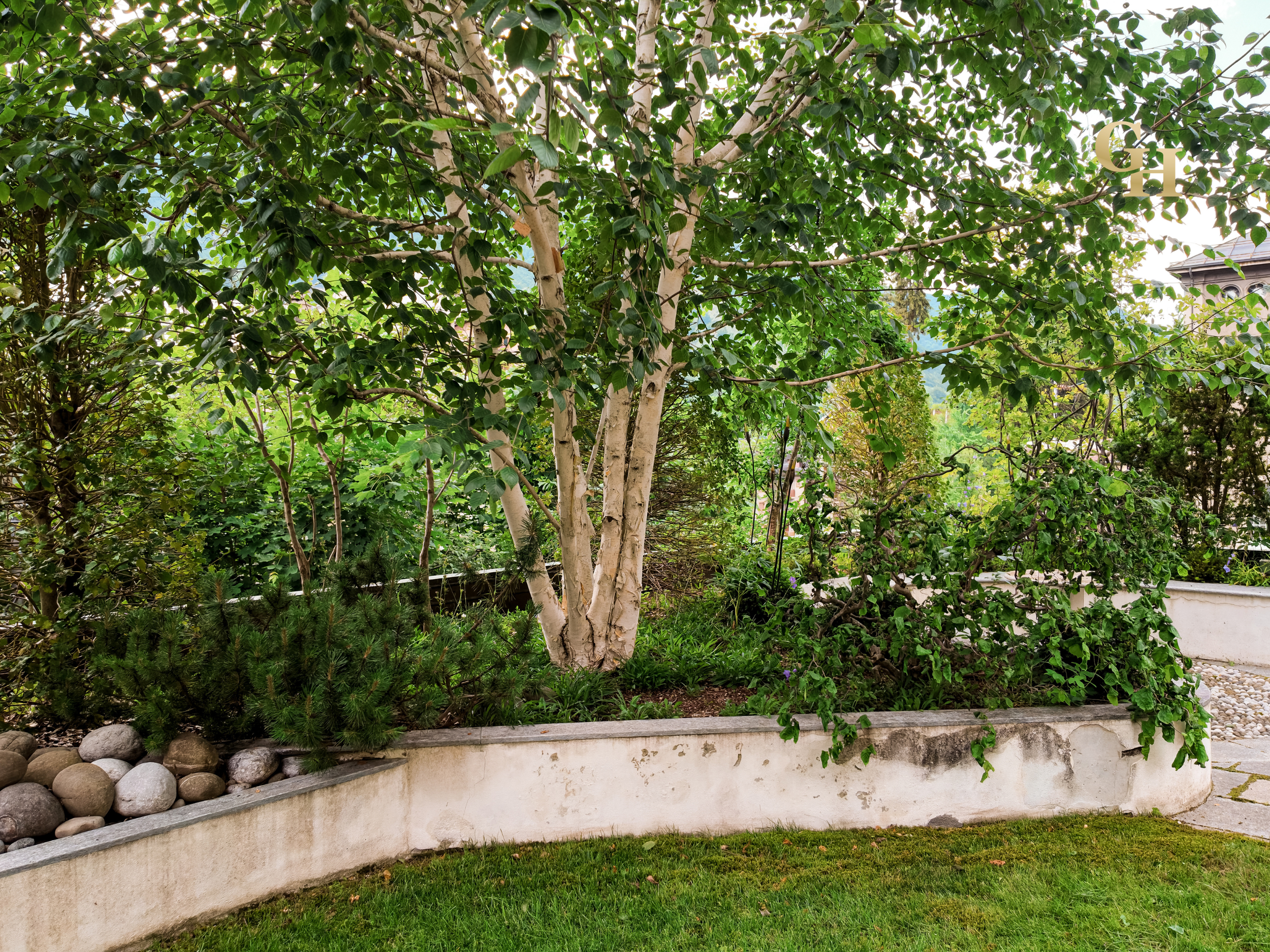 A garden with a lush tree, bushes, and plants, a curved concrete retaining wall with rocks at the base, and a walkway on the right side. In the background, there is a house with a gray roof and a cloudy sky.