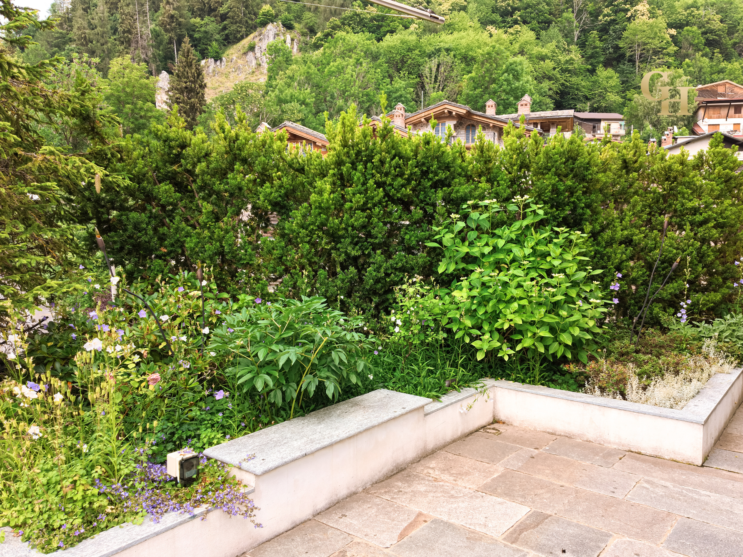 A set of stone stairs next to a white concrete wall with a garden filled with green plants and purple flowers, framed by tall trees and houses in a hillside background.